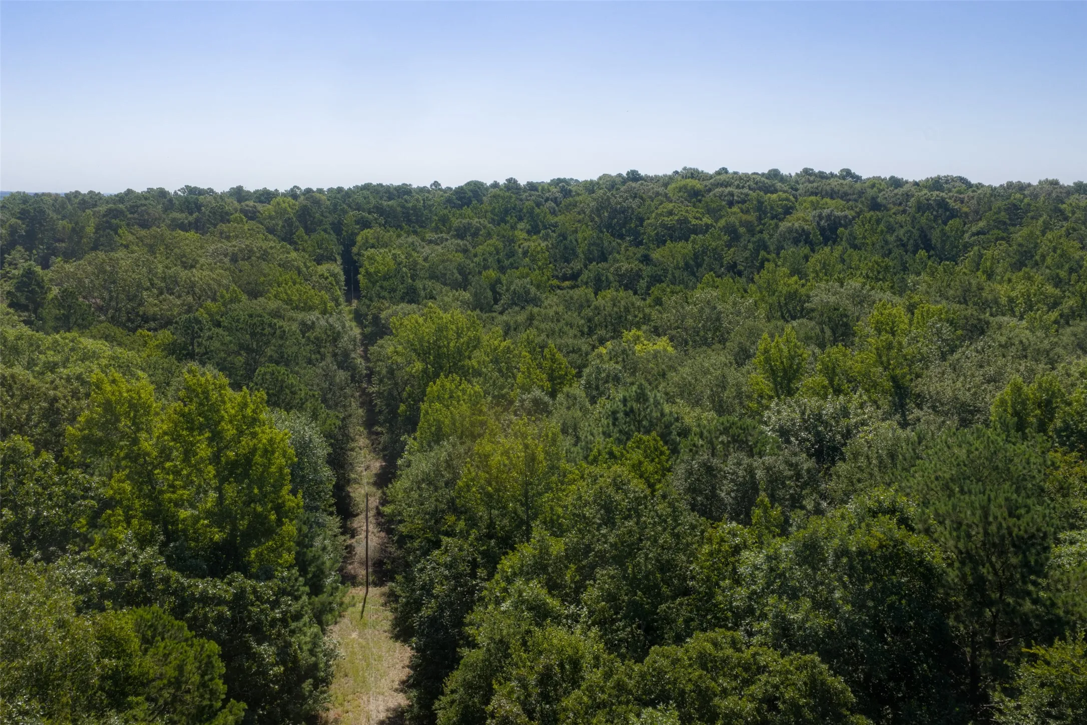 Unimproved Land For Sale in Gregg County , 00 Tom Eubanks Rd, Gladewater, Texas 75662, 0, 0, Garage spaces, 0 Sqft, built in 0, Price $150,000, mls#21348698, Real Estate Agent in Gladewater, Homes For Sale in Gregg county, Homes For Sale in Gladewater, Realtor in Gladewater Texas, Real Estate Brokerage Independent Realty Texas, Luminita Cordes Realtor