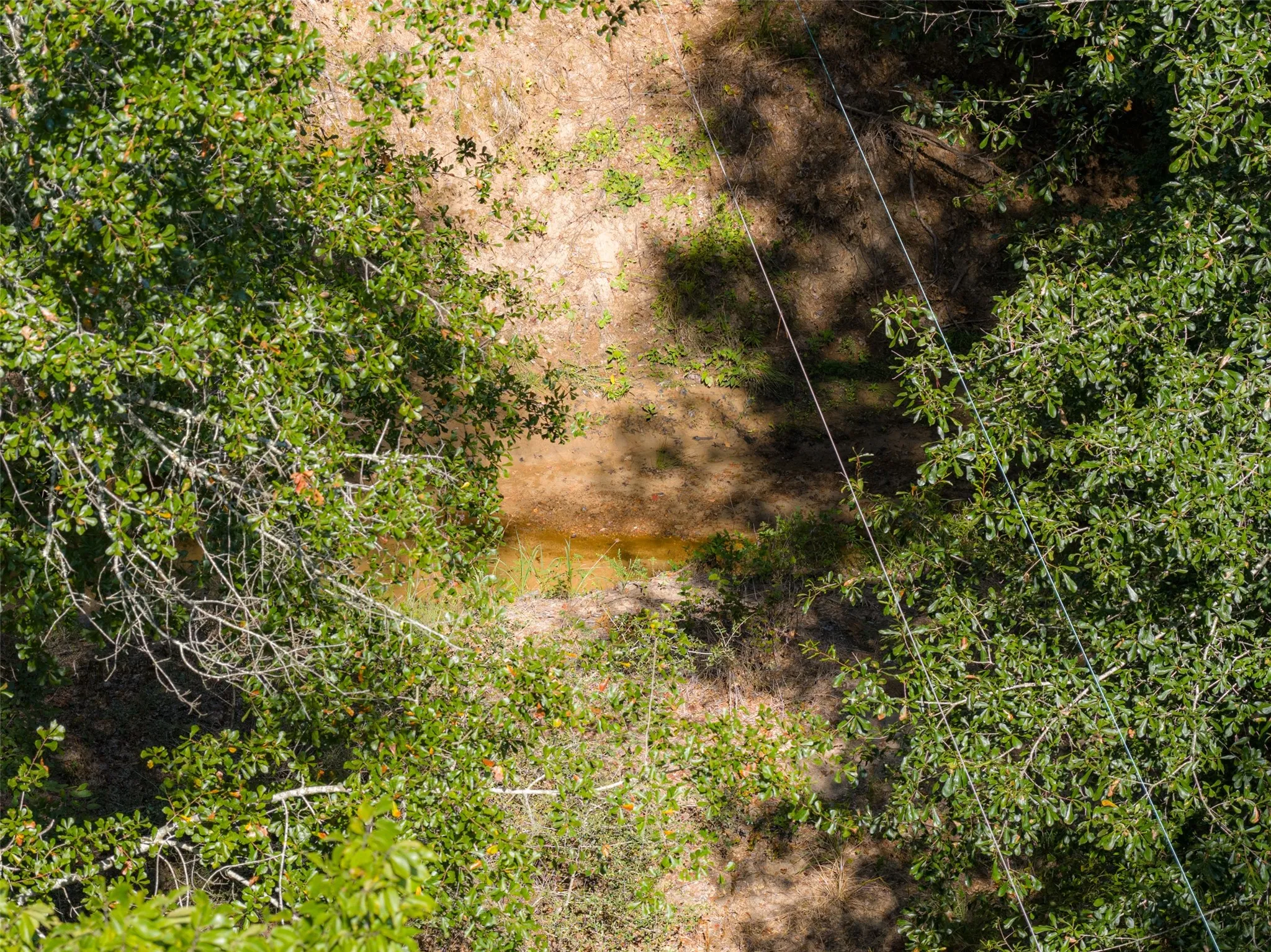 Unimproved Land For Sale in Gregg County , 00 Tom Eubanks Rd, Gladewater, Texas 75662, 0, 0, Garage spaces, 0 Sqft, built in 0, Price $150,000, mls#21348698, Real Estate Agent in Gladewater, Homes For Sale in Gregg county, Homes For Sale in Gladewater, Realtor in Gladewater Texas, Real Estate Brokerage Independent Realty Texas, Luminita Cordes Realtor