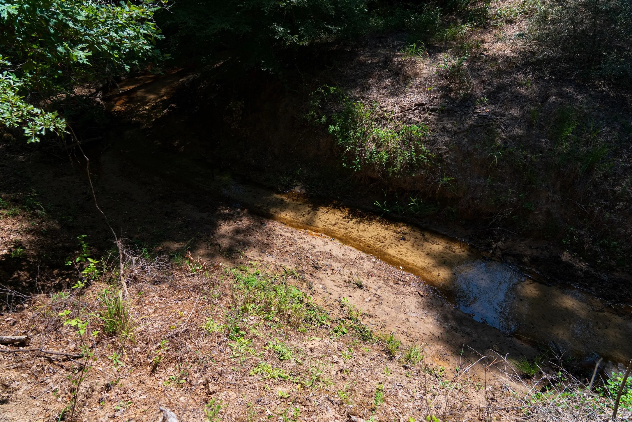 Unimproved Land For Sale in Gregg County , 00 Tom Eubanks Rd, Gladewater, Texas 75662, 0, 0, Garage spaces, 0 Sqft, built in 0, Price $150,000, mls#21348698, Real Estate Agent in Gladewater, Homes For Sale in Gregg county, Homes For Sale in Gladewater, Realtor in Gladewater Texas, Real Estate Brokerage Independent Realty Texas, Luminita Cordes Realtor