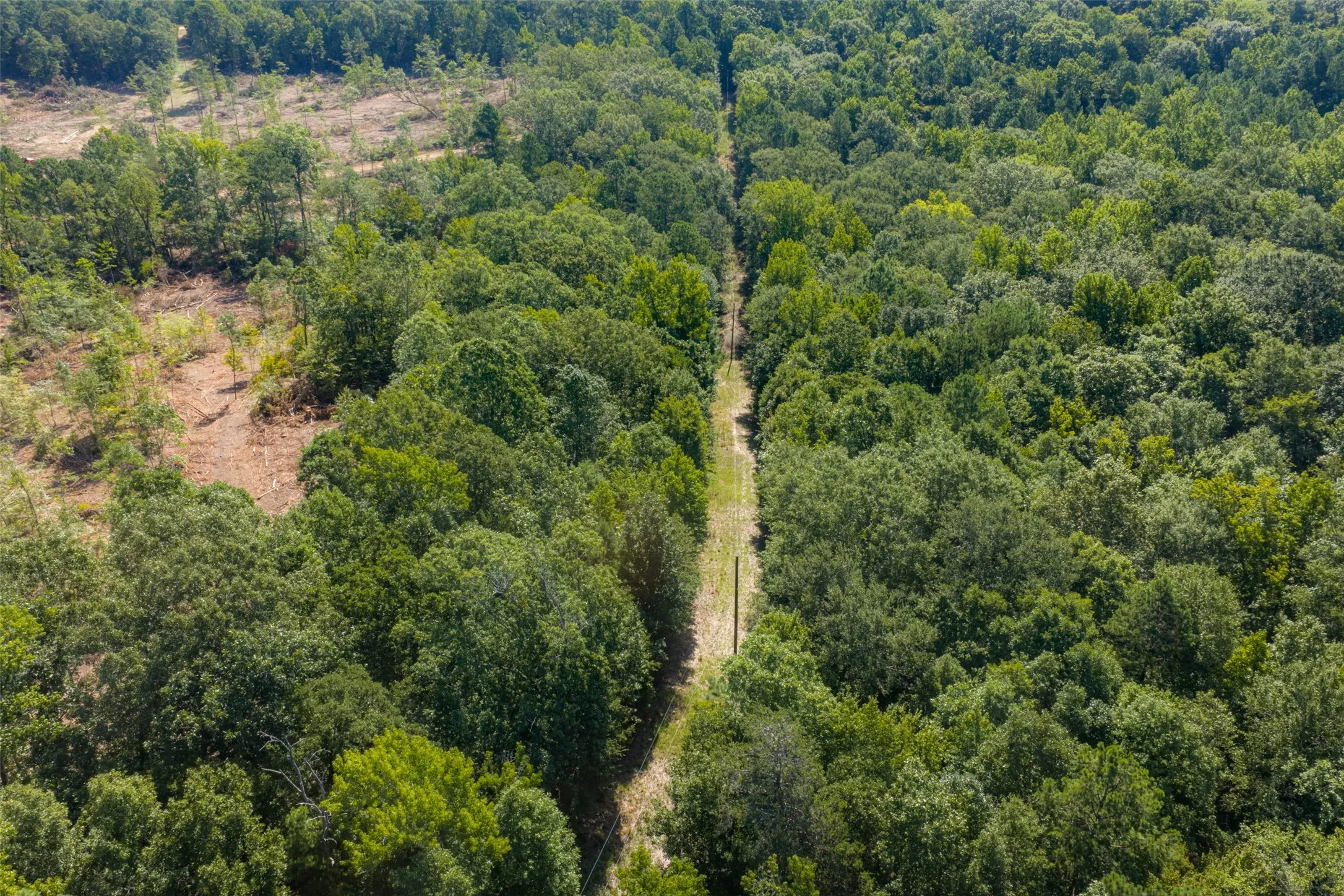 Unimproved Land For Sale in Gregg County , 00 Tom Eubanks Rd, Gladewater, Texas 75662, 0, 0, Garage spaces, 0 Sqft, built in 0, Price $150,000, mls#21348698, Real Estate Agent in Gladewater, Homes For Sale in Gregg county, Homes For Sale in Gladewater, Realtor in Gladewater Texas, Real Estate Brokerage Independent Realty Texas, Luminita Cordes Realtor