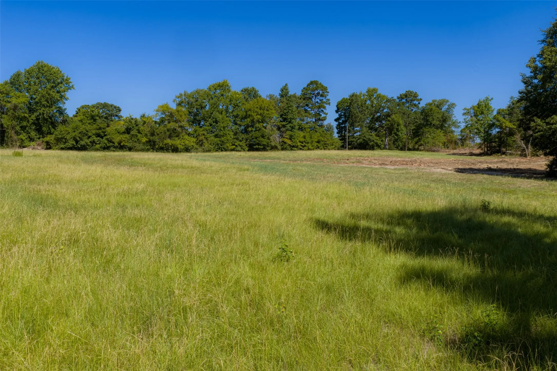 Unimproved Land For Sale in Gregg County , 00 Tom Eubanks Rd, Gladewater, Texas 75662, 0, 0, Garage spaces, 0 Sqft, built in 0, Price $150,000, mls#21348698, Real Estate Agent in Gladewater, Homes For Sale in Gregg county, Homes For Sale in Gladewater, Realtor in Gladewater Texas, Real Estate Brokerage Independent Realty Texas, Luminita Cordes Realtor