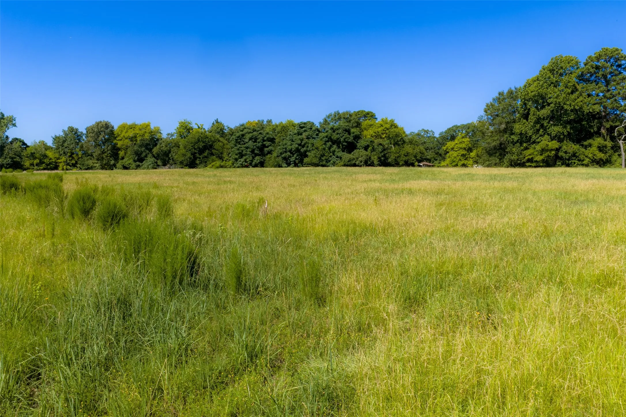Unimproved Land For Sale in Gregg County , 00 Tom Eubanks Rd, Gladewater, Texas 75662, 0, 0, Garage spaces, 0 Sqft, built in 0, Price $150,000, mls#21348698, Real Estate Agent in Gladewater, Homes For Sale in Gregg county, Homes For Sale in Gladewater, Realtor in Gladewater Texas, Real Estate Brokerage Independent Realty Texas, Luminita Cordes Realtor