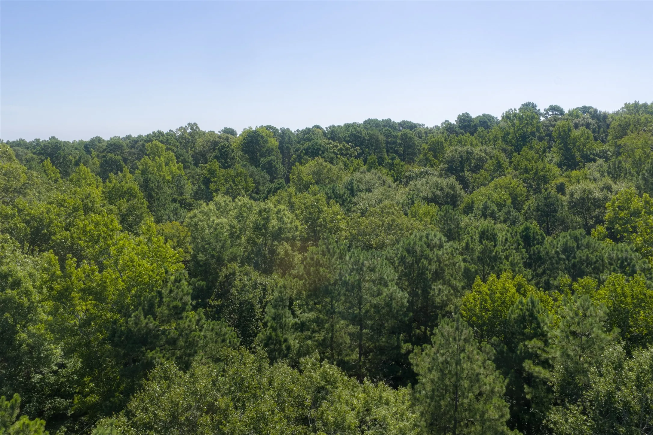 Unimproved Land For Sale in Gregg County , 00 Tom Eubanks Rd, Gladewater, Texas 75662, 0, 0, Garage spaces, 0 Sqft, built in 0, Price $150,000, mls#21348698, Real Estate Agent in Gladewater, Homes For Sale in Gregg county, Homes For Sale in Gladewater, Realtor in Gladewater Texas, Real Estate Brokerage Independent Realty Texas, Luminita Cordes Realtor
