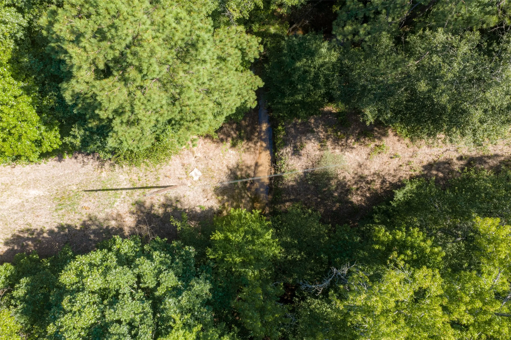 Unimproved Land For Sale in Gregg County , 00 Tom Eubanks Rd, Gladewater, Texas 75662, 0, 0, Garage spaces, 0 Sqft, built in 0, Price $150,000, mls#21348698, Real Estate Agent in Gladewater, Homes For Sale in Gregg county, Homes For Sale in Gladewater, Realtor in Gladewater Texas, Real Estate Brokerage Independent Realty Texas, Luminita Cordes Realtor