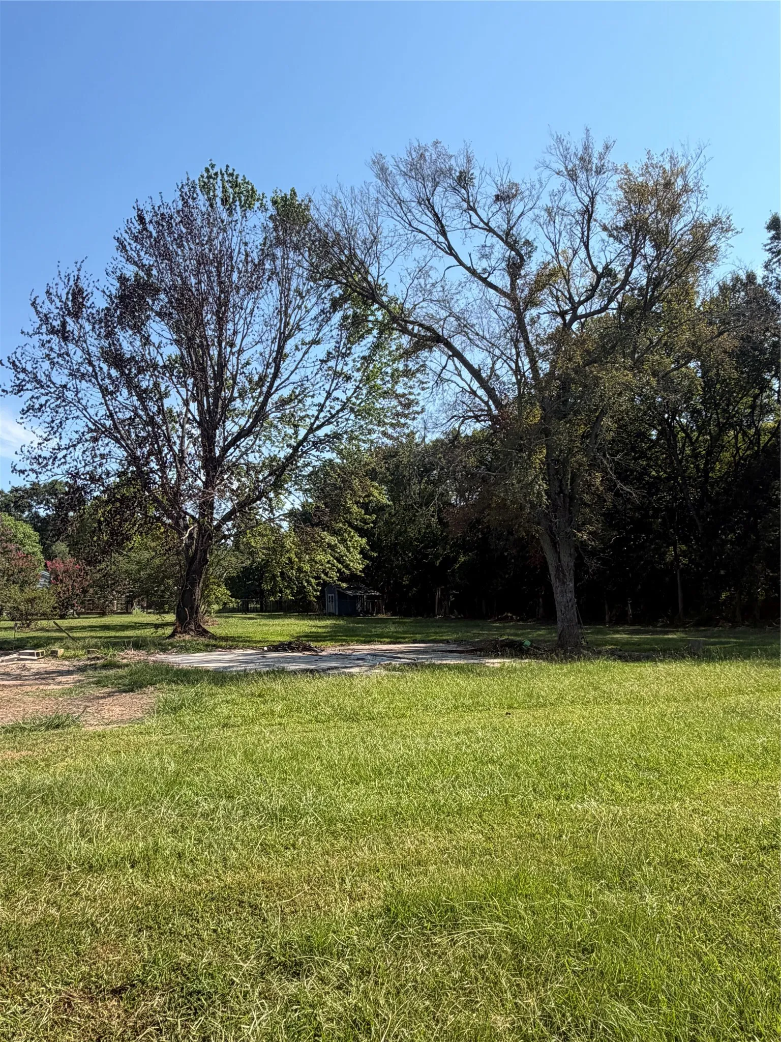 Unimproved Land For Sale in Red River (TX) County , 595 Fm 911 S, Avery, Texas 75554, 0, 0, Garage spaces, 0 Sqft, built in 0, Price $45,000, mls#21348706, Real Estate Agent in Avery, Homes For Sale in Red River (TX) county, Homes For Sale in Avery, Realtor in Avery Texas, Real Estate Brokerage Independent Realty Texas, Luminita Cordes Realtor
