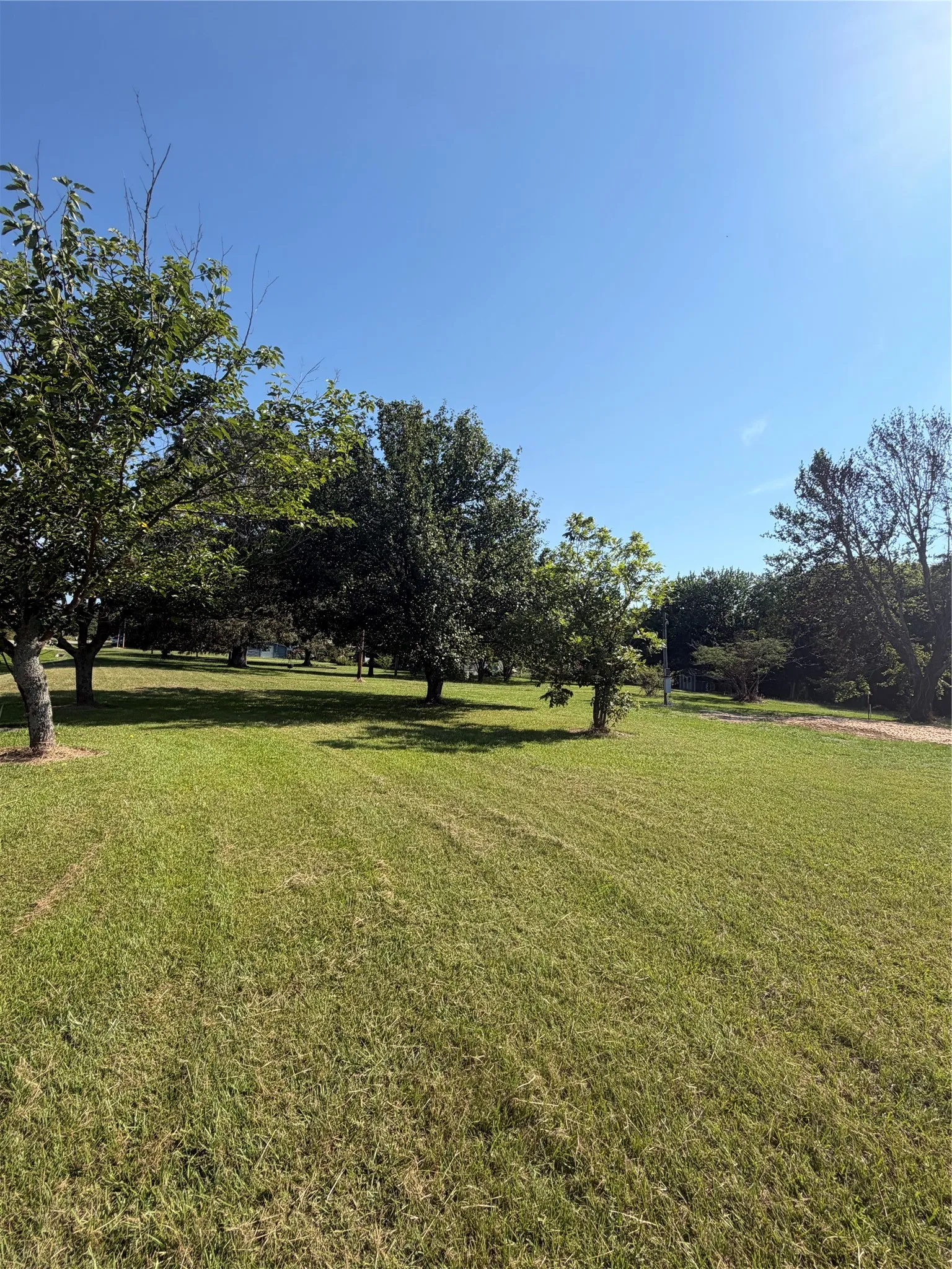 Unimproved Land For Sale in Red River (TX) County , 595 Fm 911 S, Avery, Texas 75554, 0, 0, Garage spaces, 0 Sqft, built in 0, Price $45,000, mls#21348706, Real Estate Agent in Avery, Homes For Sale in Red River (TX) county, Homes For Sale in Avery, Realtor in Avery Texas, Real Estate Brokerage Independent Realty Texas, Luminita Cordes Realtor