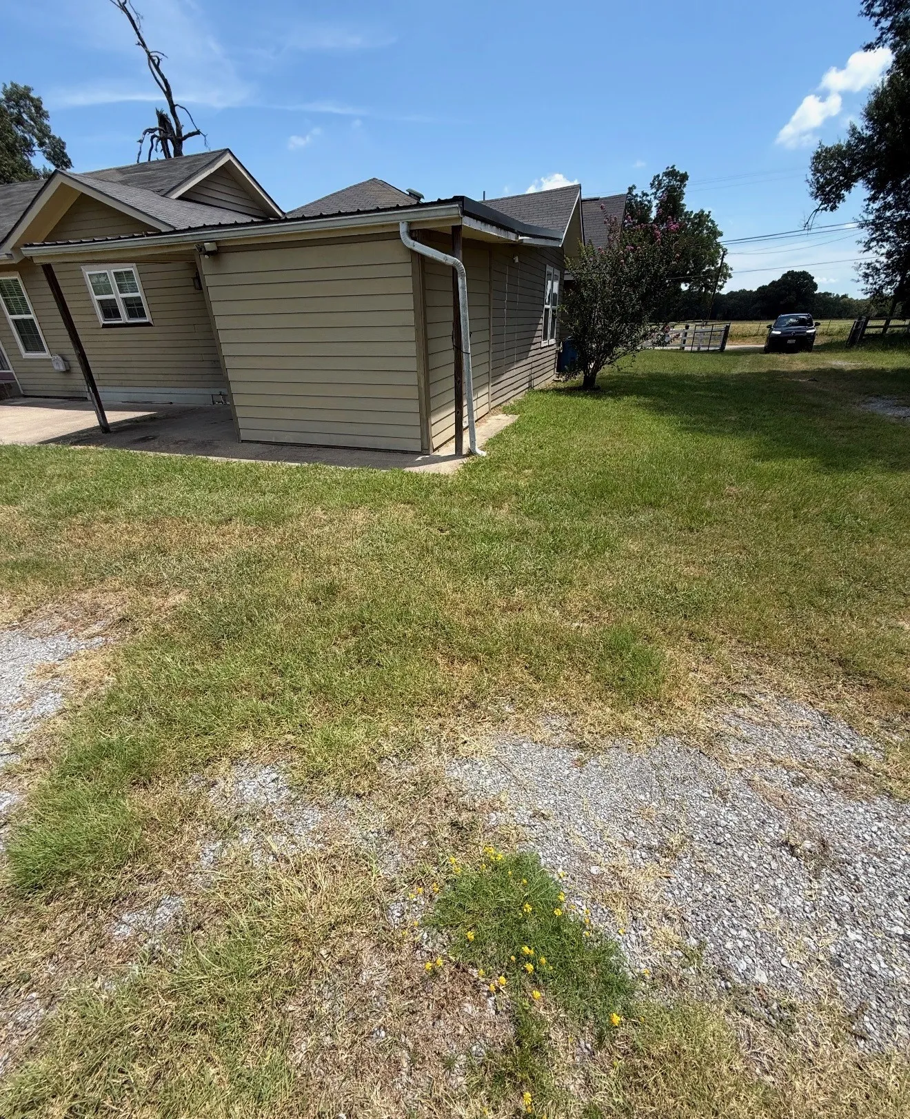 Rear exterior featuring tan horizontal siding, dark shingle roofing, and a concrete patio slab