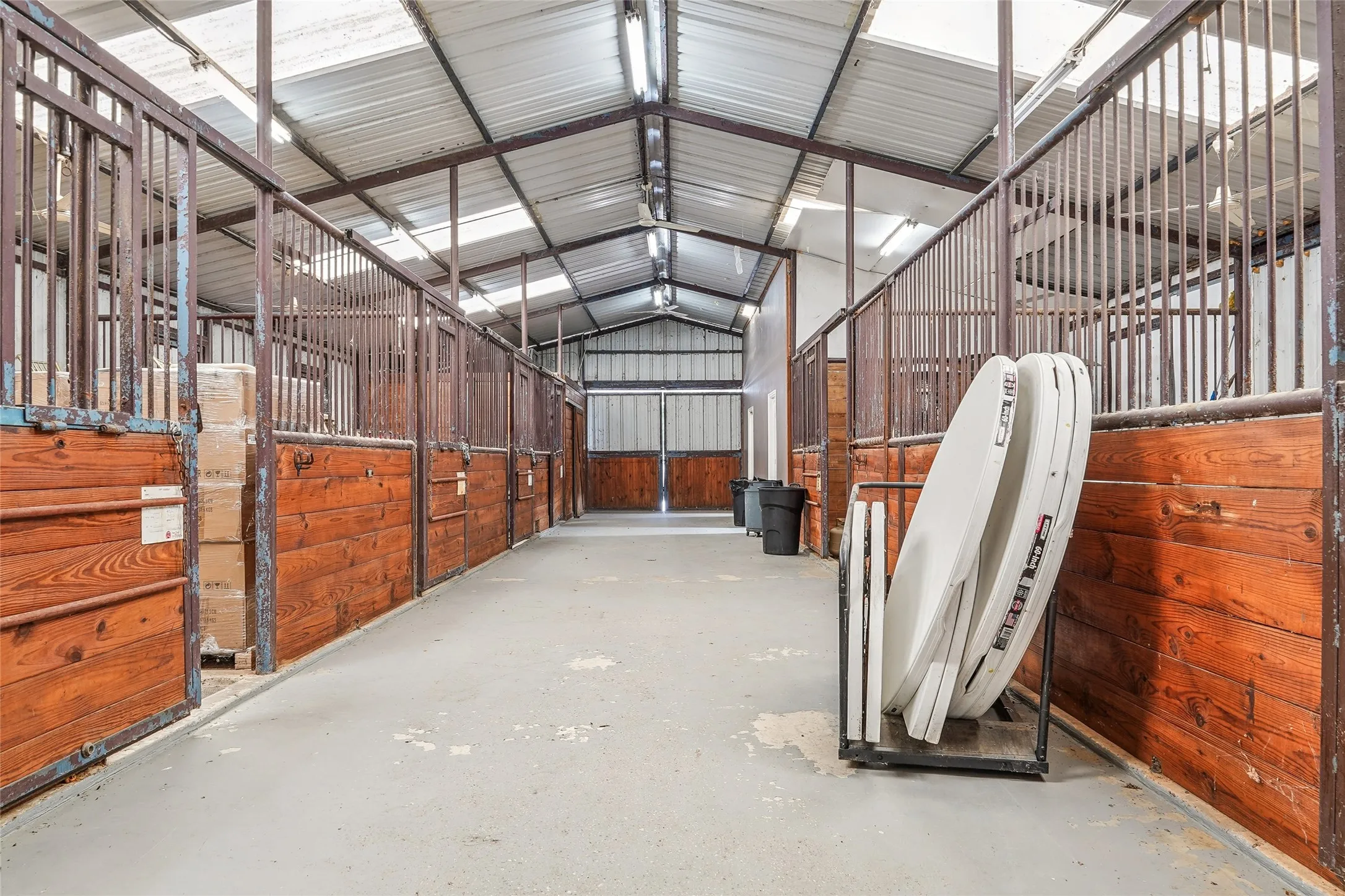 Barn interior featuring multiple stalls with wood paneling and metal bars, a concrete aisle, and translucent roof panels for natural illumination