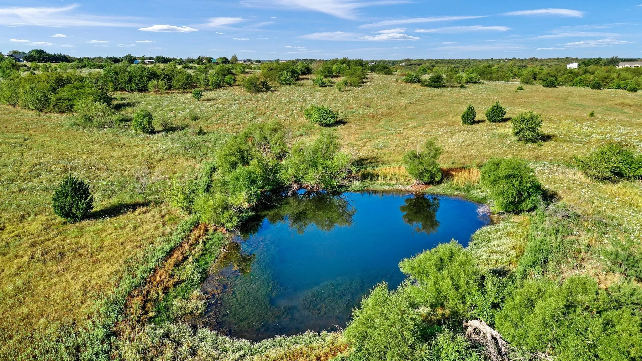 Ranch For Sale in Grayson County , TBD Bennett Lane, Sherman, Texas 75092, 0, 0, Garage spaces, 0 Sqft, built in 0, Price $3,600,000, mls#21348779, Real Estate Agent in Sherman, Homes For Sale in Grayson county, Homes For Sale in Sherman, Realtor in Sherman Texas, Real Estate Brokerage Independent Realty Texas, Luminita Cordes Realtor