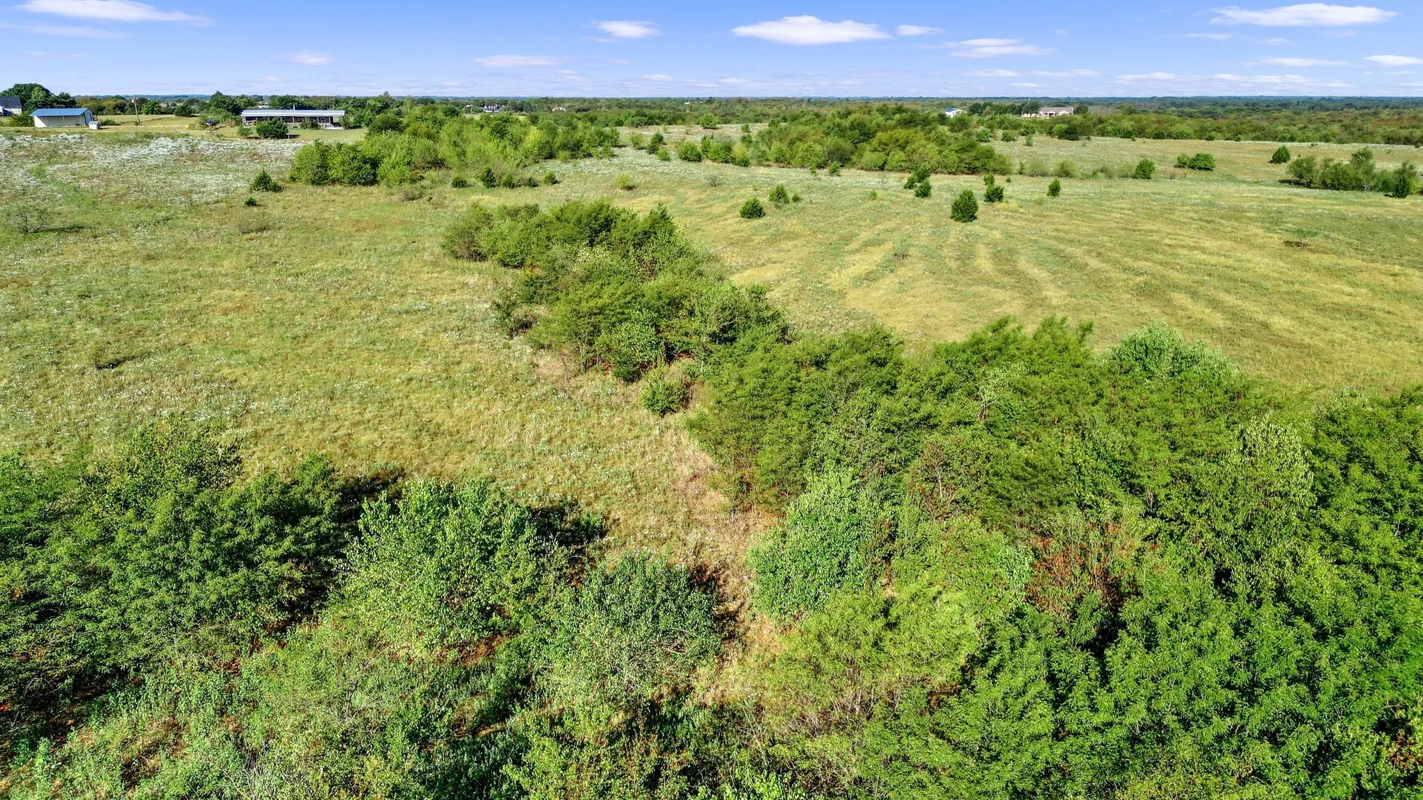 Ranch For Sale in Grayson County , TBD Bennett Lane, Sherman, Texas 75092, 0, 0, Garage spaces, 0 Sqft, built in 0, Price $3,600,000, mls#21348779, Real Estate Agent in Sherman, Homes For Sale in Grayson county, Homes For Sale in Sherman, Realtor in Sherman Texas, Real Estate Brokerage Independent Realty Texas, Luminita Cordes Realtor