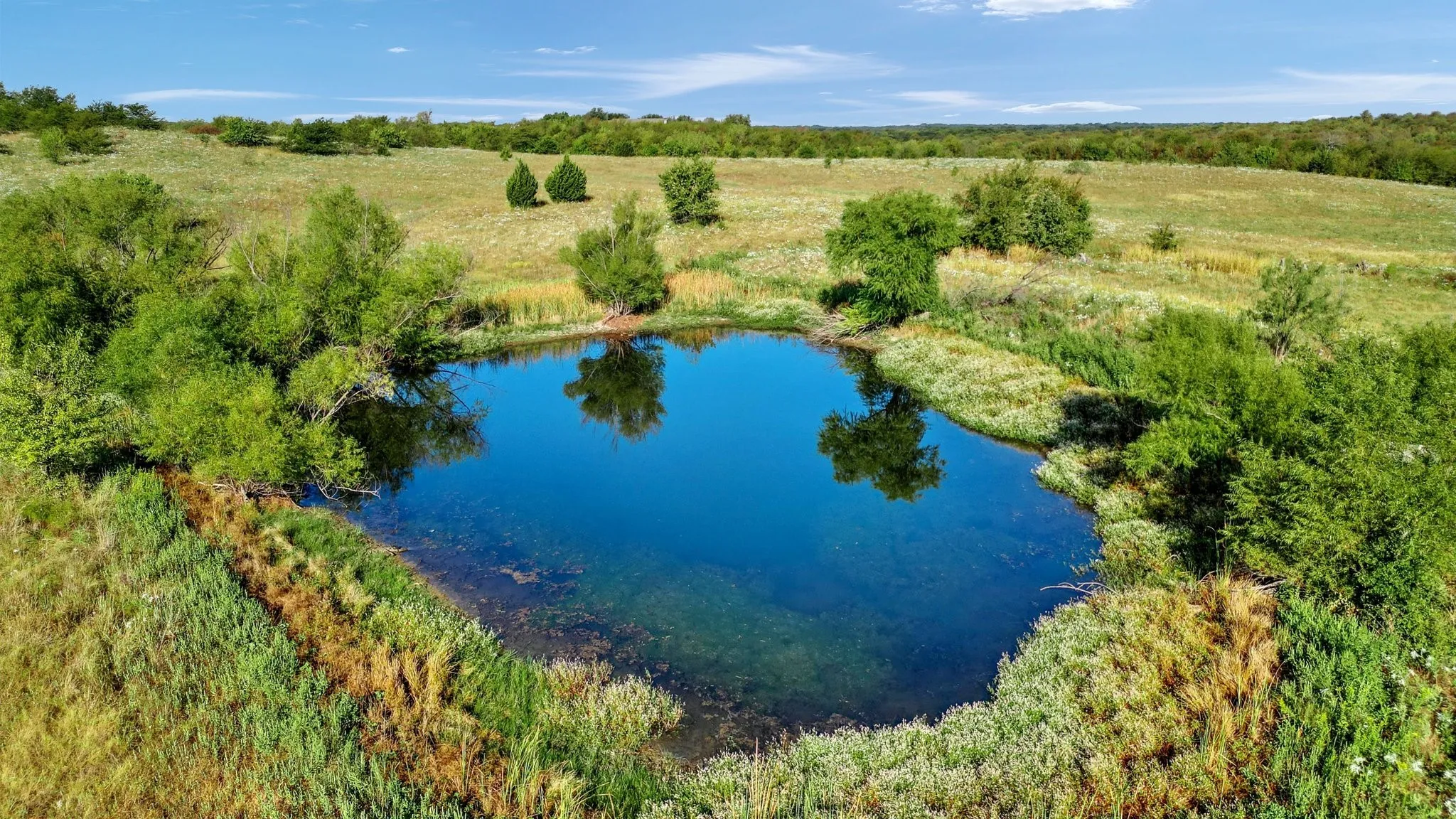 Ranch For Sale in Grayson County , TBD Bennett Lane, Sherman, Texas 75092, 0, 0, Garage spaces, 0 Sqft, built in 0, Price $3,600,000, mls#21348779, Real Estate Agent in Sherman, Homes For Sale in Grayson county, Homes For Sale in Sherman, Realtor in Sherman Texas, Real Estate Brokerage Independent Realty Texas, Luminita Cordes Realtor