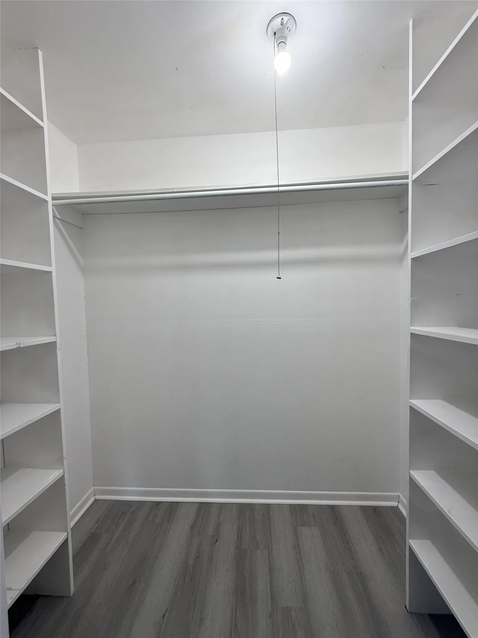 Walk-in closet featuring built-in shelving, hanging rod, wood-finish flooring, and a ceiling-mounted light fixture