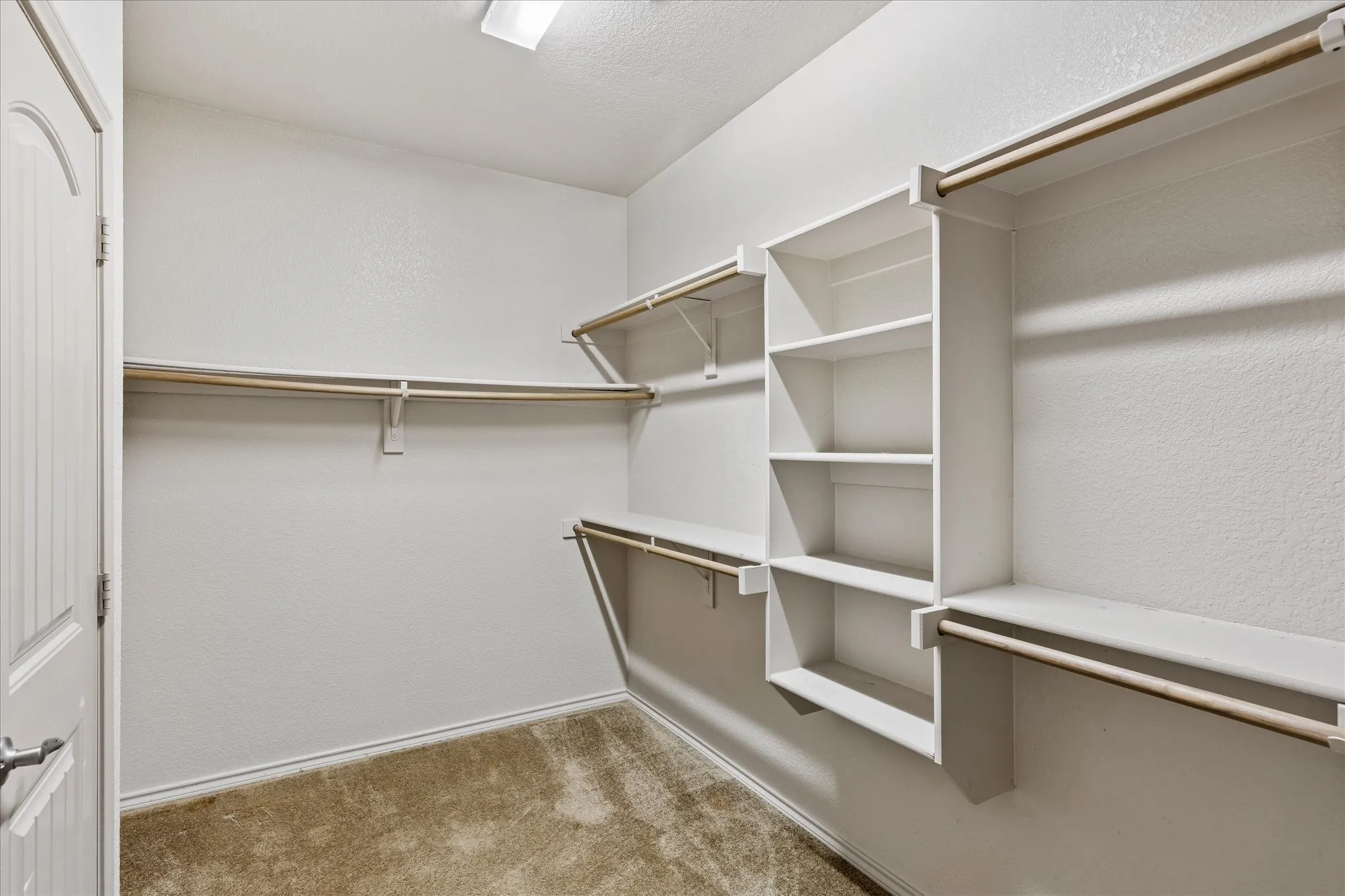 Walk-in closet with carpet flooring, white walls, built-in shelving, and multiple clothing rods