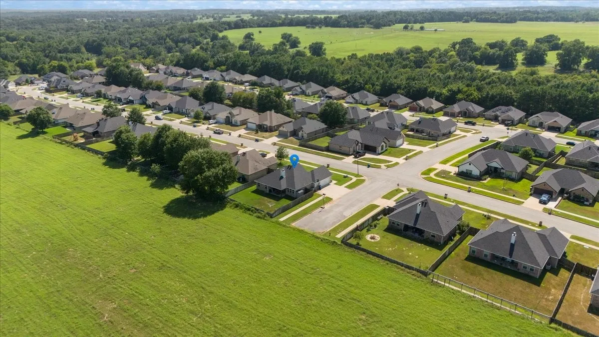 Neighborhood aerial view showing the home's position on the street with adjacent green space and mature trees along the property line.