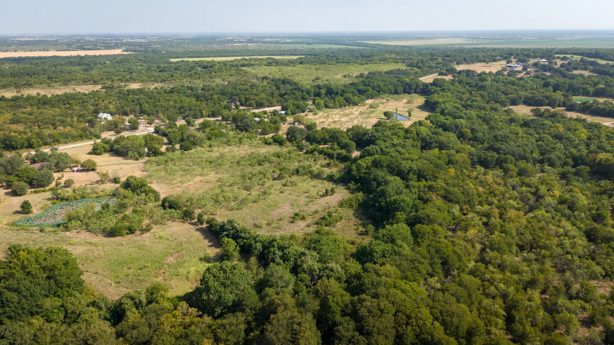 Expansive aerial landscape featuring a mix of dense tree coverage and open clearings