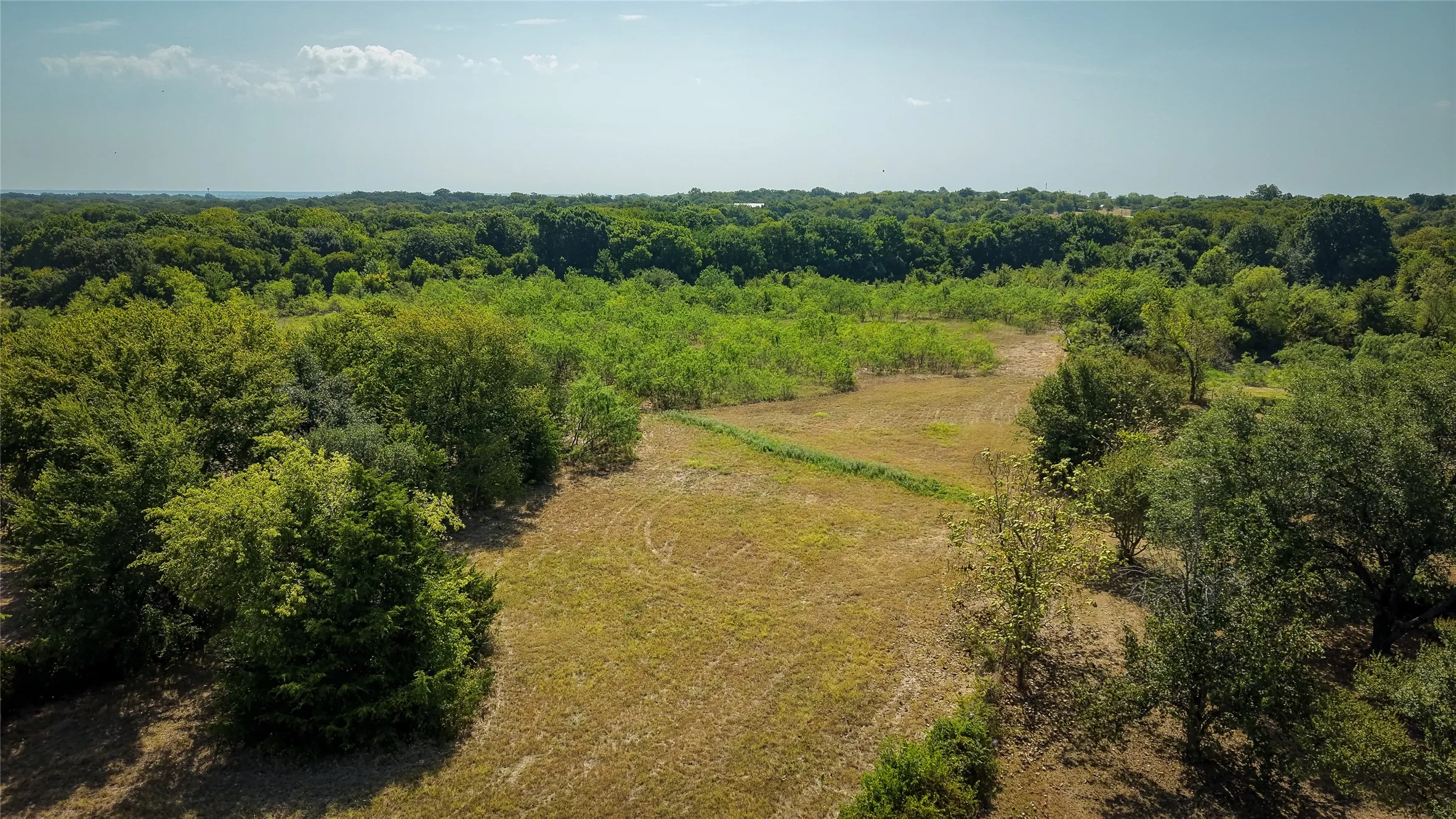 Expansive land parcel featuring open fields and dense tree lines