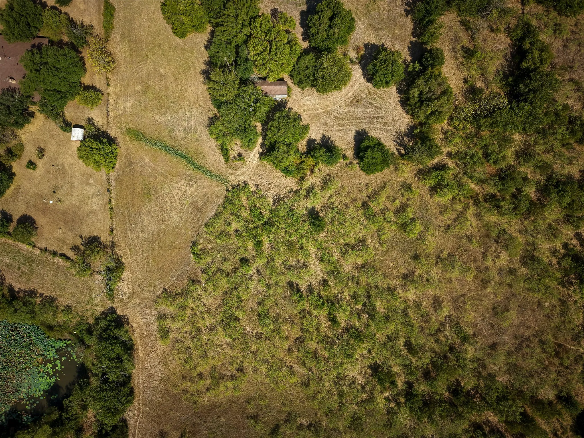 Expansive undeveloped land featuring varied terrain and natural vegetation, including mature trees and dense shrubbery
