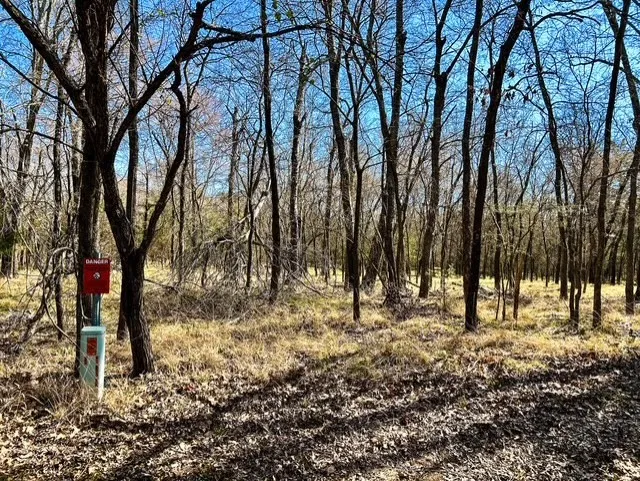 Unimproved Land For Sale in Rains County , TBD Rs County Road 3500, Emory, Texas 75440, 0, 0, Garage spaces, 0 Sqft, built in 0, Price $800,000, mls#21347877, Real Estate Agent in Emory, Homes For Sale in Rains county, Homes For Sale in Emory, Realtor in Emory Texas, Real Estate Brokerage Independent Realty Texas, Luminita Cordes Realtor