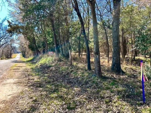 Unimproved Land For Sale in Rains County , TBD Rs County Road 3500, Emory, Texas 75440, 0, 0, Garage spaces, 0 Sqft, built in 0, Price $800,000, mls#21347877, Real Estate Agent in Emory, Homes For Sale in Rains county, Homes For Sale in Emory, Realtor in Emory Texas, Real Estate Brokerage Independent Realty Texas, Luminita Cordes Realtor