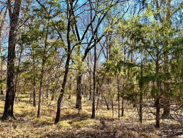 Unimproved Land For Sale in Rains County , TBD Rs County Road 3500, Emory, Texas 75440, 0, 0, Garage spaces, 0 Sqft, built in 0, Price $800,000, mls#21347877, Real Estate Agent in Emory, Homes For Sale in Rains county, Homes For Sale in Emory, Realtor in Emory Texas, Real Estate Brokerage Independent Realty Texas, Luminita Cordes Realtor