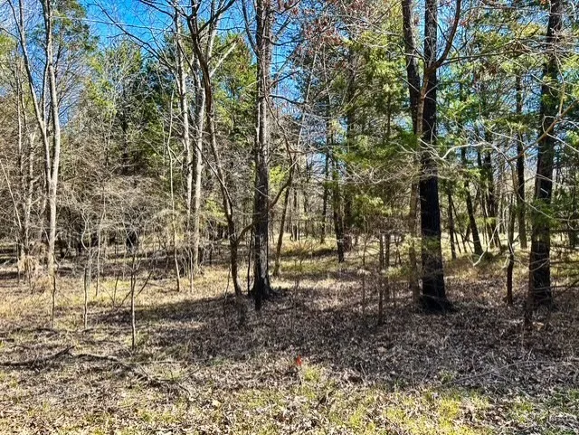 Unimproved Land For Sale in Rains County , TBD Rs County Road 3500, Emory, Texas 75440, 0, 0, Garage spaces, 0 Sqft, built in 0, Price $800,000, mls#21347877, Real Estate Agent in Emory, Homes For Sale in Rains county, Homes For Sale in Emory, Realtor in Emory Texas, Real Estate Brokerage Independent Realty Texas, Luminita Cordes Realtor
