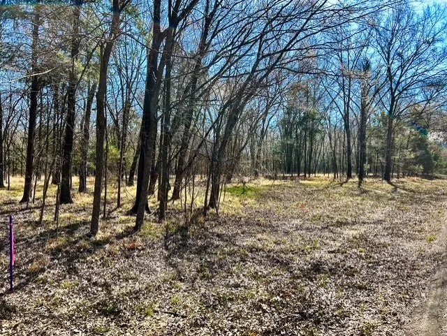 Unimproved Land For Sale in Rains County , TBD Rs County Road 3500, Emory, Texas 75440, 0, 0, Garage spaces, 0 Sqft, built in 0, Price $800,000, mls#21347877, Real Estate Agent in Emory, Homes For Sale in Rains county, Homes For Sale in Emory, Realtor in Emory Texas, Real Estate Brokerage Independent Realty Texas, Luminita Cordes Realtor