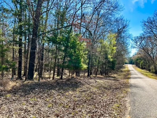 Unimproved Land For Sale in Rains County , TBD Rs County Road 3500, Emory, Texas 75440, 0, 0, Garage spaces, 0 Sqft, built in 0, Price $800,000, mls#21347877, Real Estate Agent in Emory, Homes For Sale in Rains county, Homes For Sale in Emory, Realtor in Emory Texas, Real Estate Brokerage Independent Realty Texas, Luminita Cordes Realtor