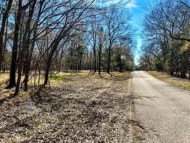 Unimproved Land For Sale in Rains County , TBD Rs County Road 3500, Emory, Texas 75440, 0, 0, Garage spaces, 0 Sqft, built in 0, Price $800,000, mls#21347877, Real Estate Agent in Emory, Homes For Sale in Rains county, Homes For Sale in Emory, Realtor in Emory Texas, Real Estate Brokerage Independent Realty Texas, Luminita Cordes Realtor