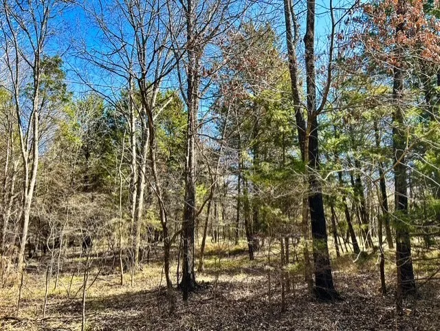 Unimproved Land For Sale in Rains County , TBD Rs County Road 3500, Emory, Texas 75440, 0, 0, Garage spaces, 0 Sqft, built in 0, Price $800,000, mls#21347877, Real Estate Agent in Emory, Homes For Sale in Rains county, Homes For Sale in Emory, Realtor in Emory Texas, Real Estate Brokerage Independent Realty Texas, Luminita Cordes Realtor