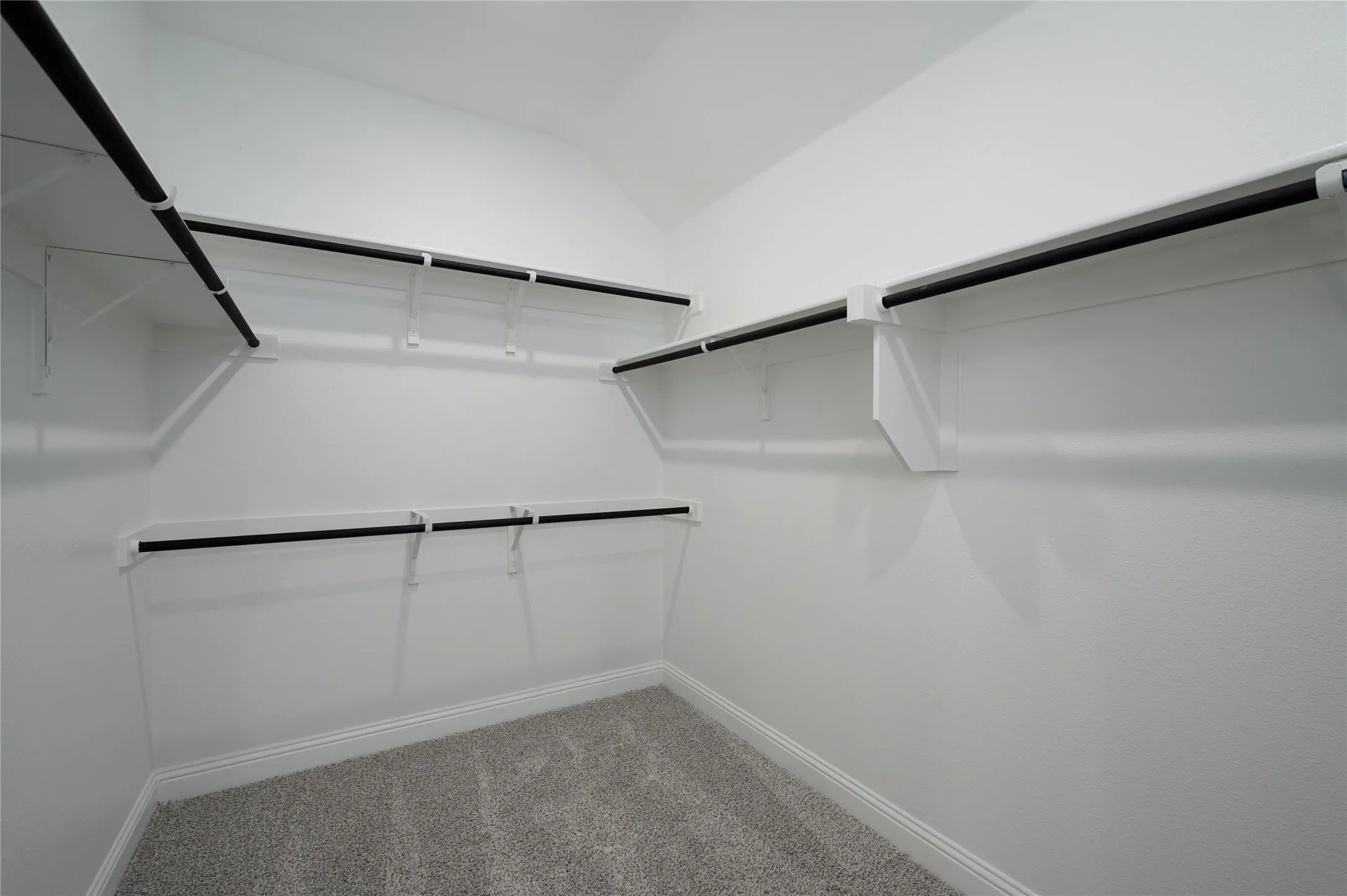 Spacious closet with lofted ceiling and carpet floors
