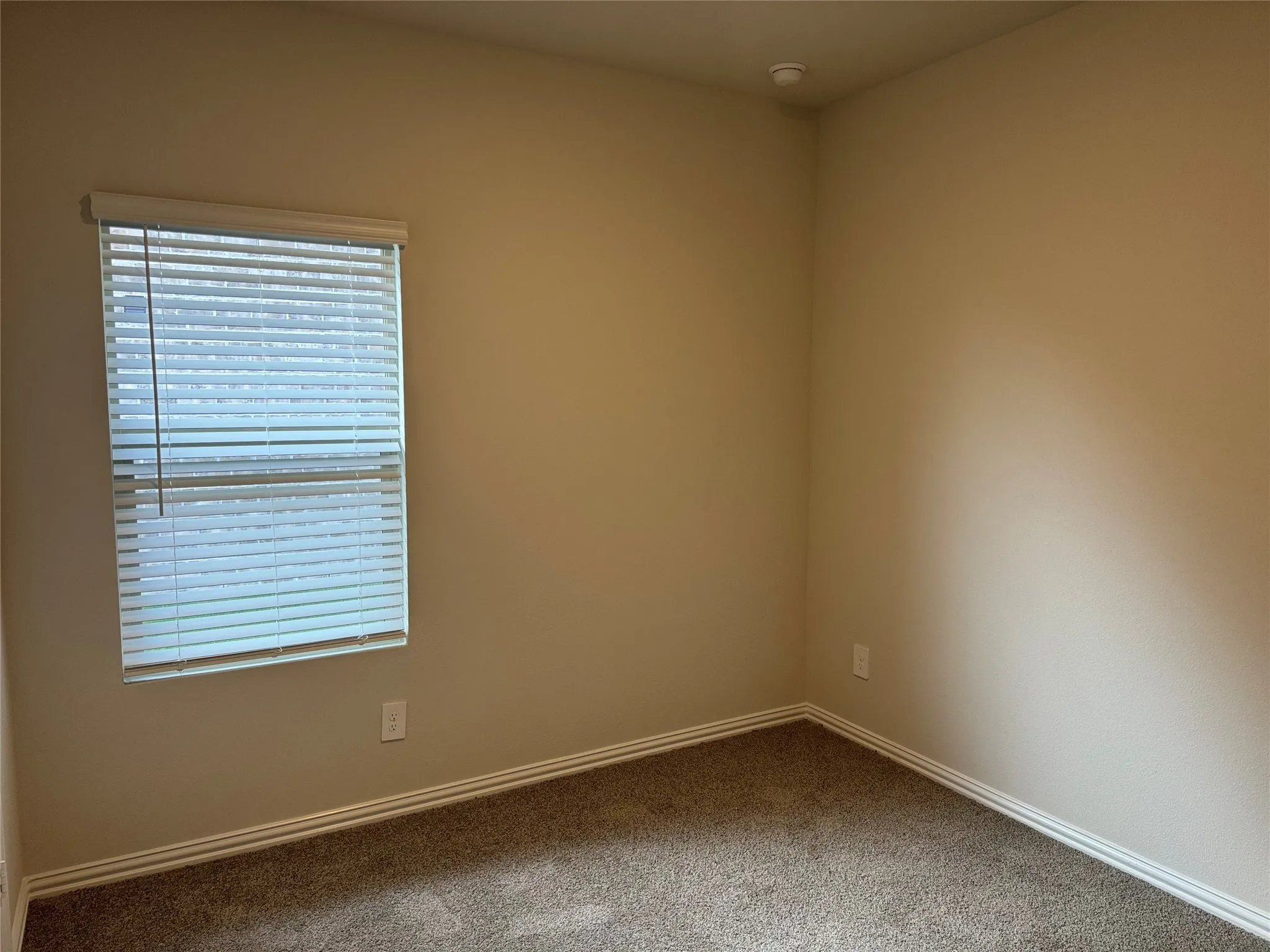 Single Family Residence For Rent in Collin County , 503 Cottagewood Drive, Princeton, Texas 75071, 3 Bedroom, 2 Bathroom, 2 Garage spaces, 1,551 Sqft, built in 2024, mls#21348491, Real Estate Agent in Princeton, Homes For Rent in Collin county, Homes For Rent in Princeton, Realtor in Princeton Texas, Real Estate Brokerage Independent Realty Texas, Luminita Cordes Realtor
