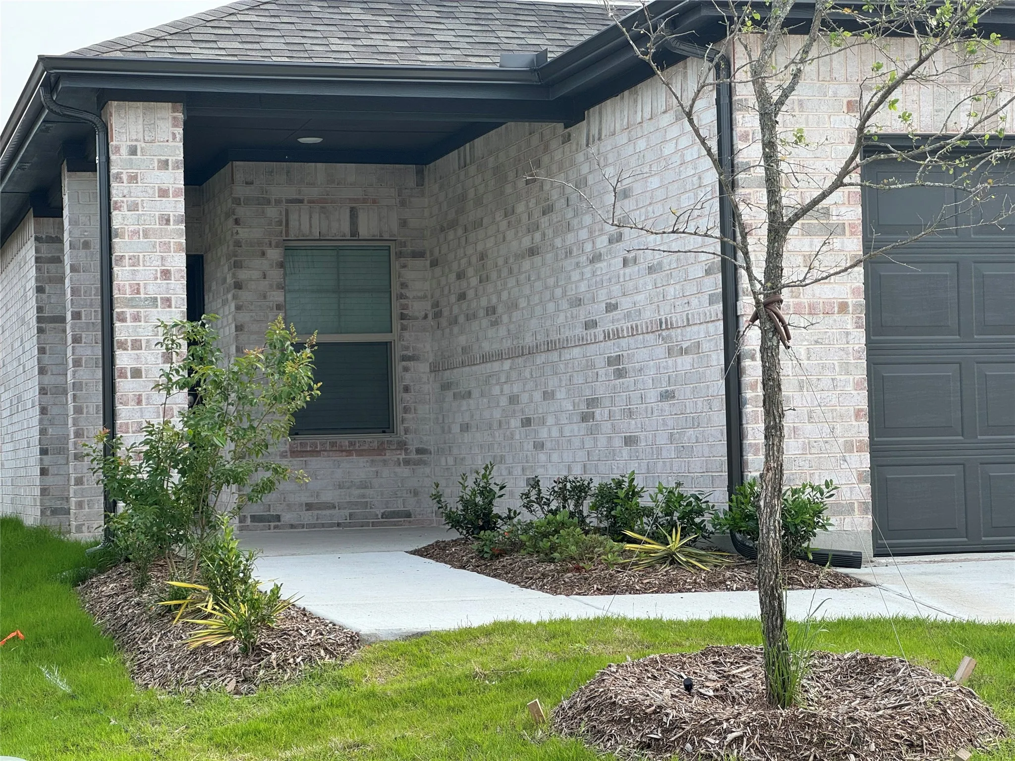 Single Family Residence For Rent in Collin County , 503 Cottagewood Drive, Princeton, Texas 75071, 3 Bedroom, 2 Bathroom, 2 Garage spaces, 1,551 Sqft, built in 2024, mls#21348491, Real Estate Agent in Princeton, Homes For Rent in Collin county, Homes For Rent in Princeton, Realtor in Princeton Texas, Real Estate Brokerage Independent Realty Texas, Luminita Cordes Realtor