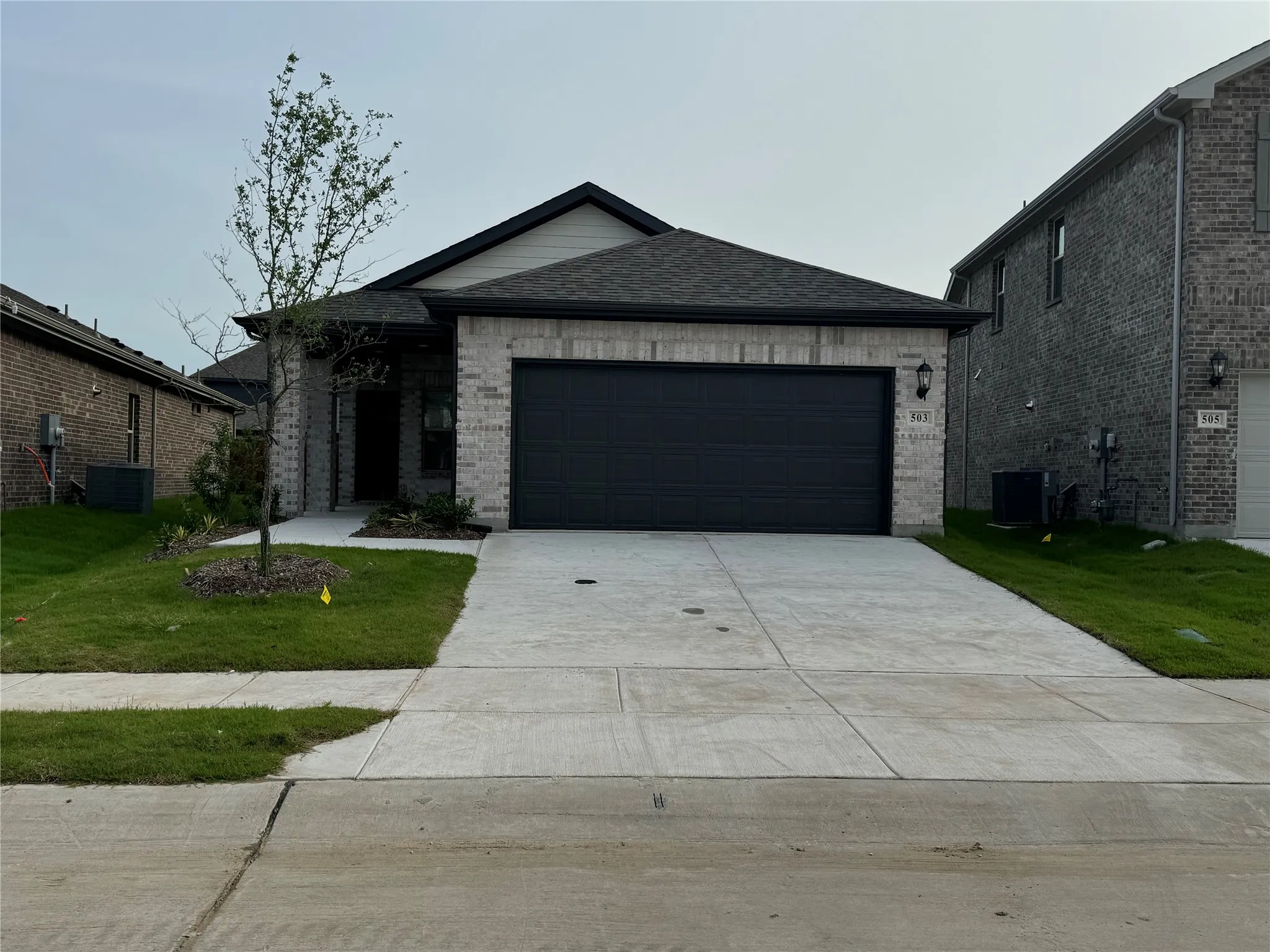 Single Family Residence For Rent in Collin County , 503 Cottagewood Drive, Princeton, Texas 75071, 3 Bedroom, 2 Bathroom, 2 Garage spaces, 1,551 Sqft, built in 2024, mls#21348491, Real Estate Agent in Princeton, Homes For Rent in Collin county, Homes For Rent in Princeton, Realtor in Princeton Texas, Real Estate Brokerage Independent Realty Texas, Luminita Cordes Realtor