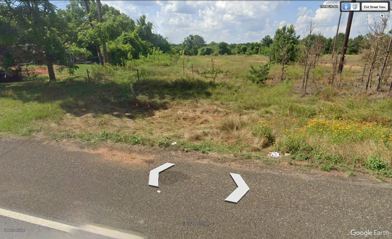 Unimproved Land For Sale in Anderson County , 1515 E Park Avenue, Palestine, Texas 75801, 0, 0, Garage spaces, 0 Sqft, built in 0, Price $855,000, mls#21348937, Real Estate Agent in Palestine, Homes For Sale in Anderson county, Homes For Sale in Palestine, Realtor in Palestine Texas, Real Estate Brokerage Independent Realty Texas, Luminita Cordes Realtor