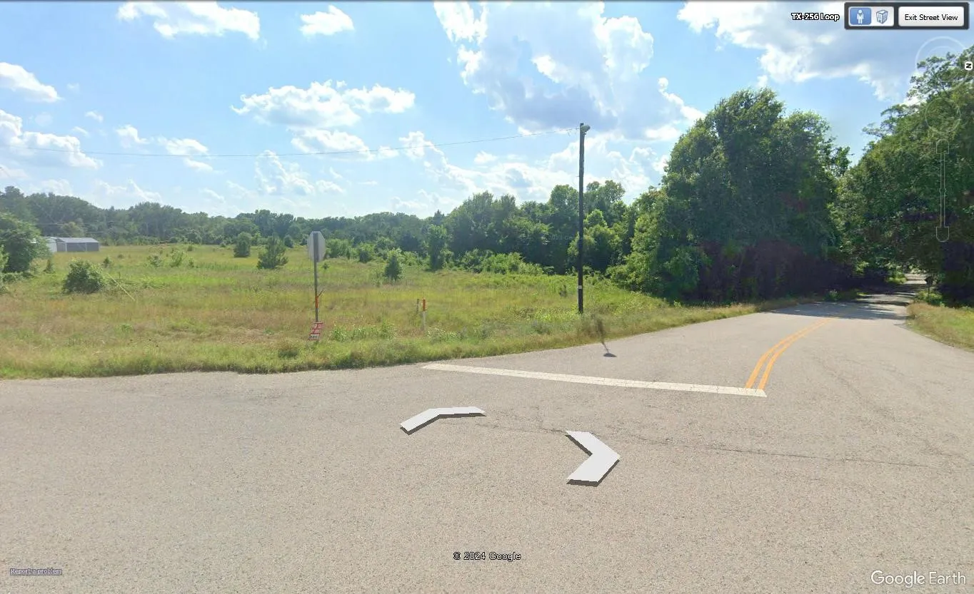Unimproved Land For Sale in Anderson County , 1515 E Park Avenue, Palestine, Texas 75801, 0, 0, Garage spaces, 0 Sqft, built in 0, Price $855,000, mls#21348937, Real Estate Agent in Palestine, Homes For Sale in Anderson county, Homes For Sale in Palestine, Realtor in Palestine Texas, Real Estate Brokerage Independent Realty Texas, Luminita Cordes Realtor