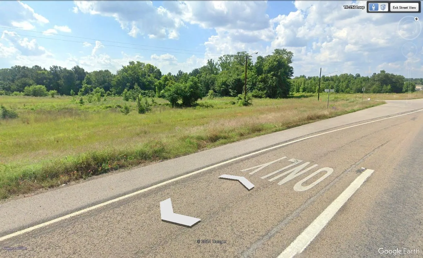 Unimproved Land For Sale in Anderson County , 1515 E Park Avenue, Palestine, Texas 75801, 0, 0, Garage spaces, 0 Sqft, built in 0, Price $855,000, mls#21348937, Real Estate Agent in Palestine, Homes For Sale in Anderson county, Homes For Sale in Palestine, Realtor in Palestine Texas, Real Estate Brokerage Independent Realty Texas, Luminita Cordes Realtor