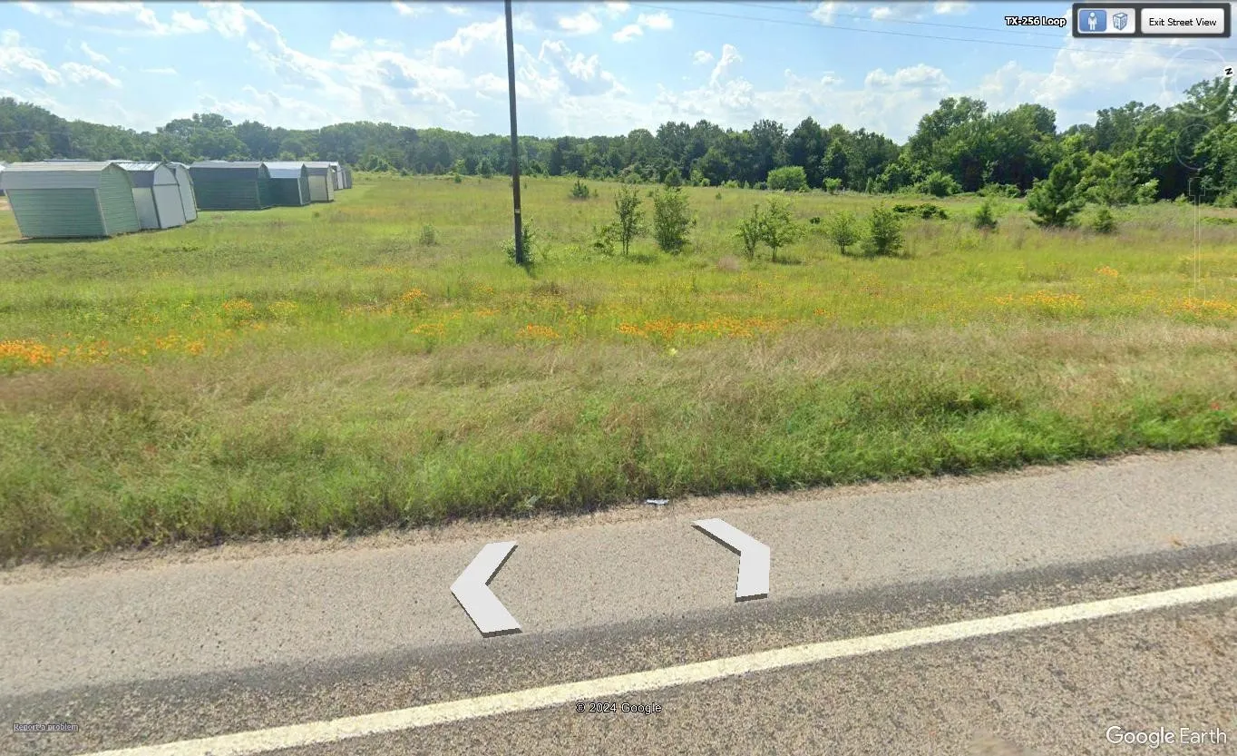 Unimproved Land For Sale in Anderson County , 1515 E Park Avenue, Palestine, Texas 75801, 0, 0, Garage spaces, 0 Sqft, built in 0, Price $855,000, mls#21348937, Real Estate Agent in Palestine, Homes For Sale in Anderson county, Homes For Sale in Palestine, Realtor in Palestine Texas, Real Estate Brokerage Independent Realty Texas, Luminita Cordes Realtor