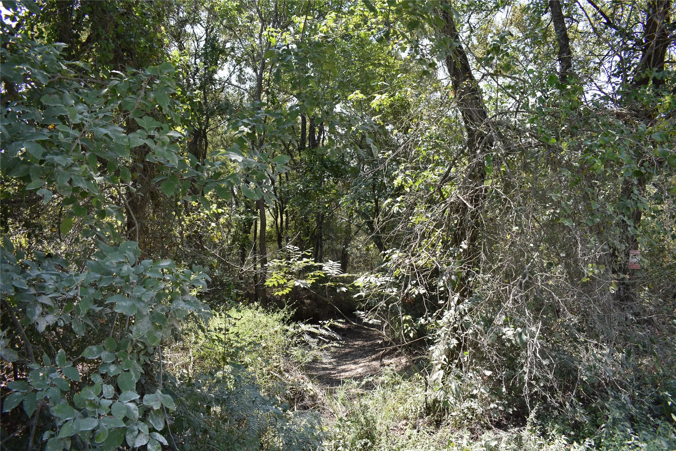 Creek