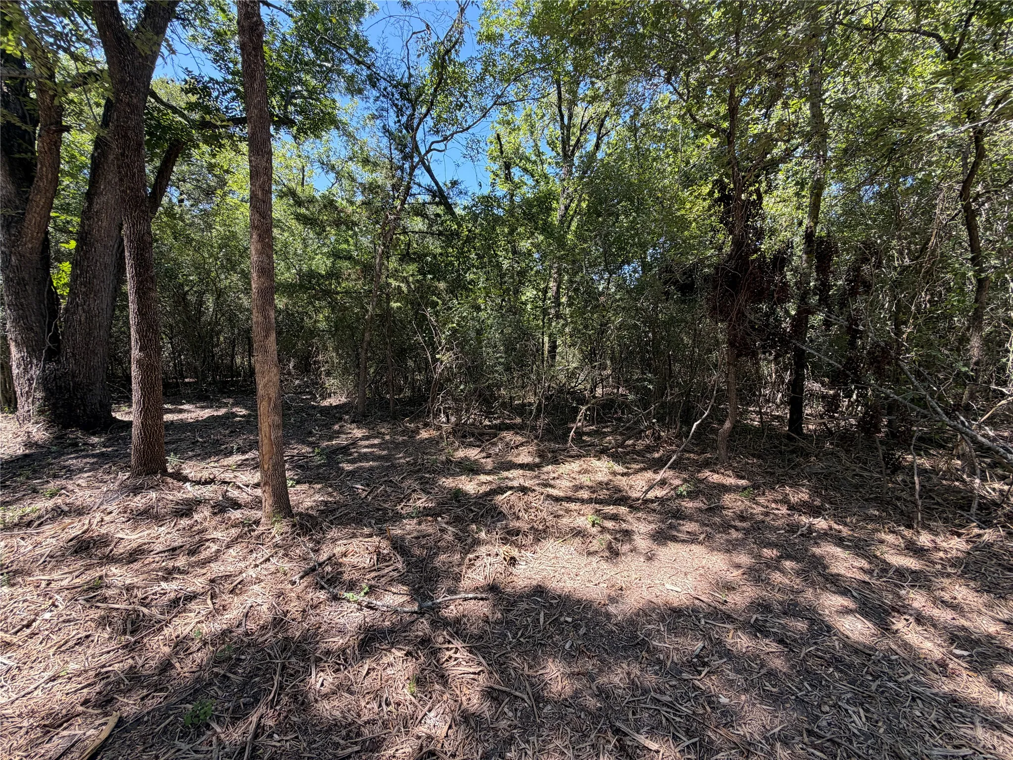 Unimproved Land For Sale in Navarro County , TBD39ac SW Co Rd 2340, Richland, Texas 76681, 0, 0, Garage spaces, 0 Sqft, built in 0, mls#21347727, Real Estate Agent in Richland, Homes For Sale in Navarro county, Homes For Sale in Richland, Realtor in Richland Texas, Real Estate Brokerage Independent Realty Texas, Luminita Cordes Realtor