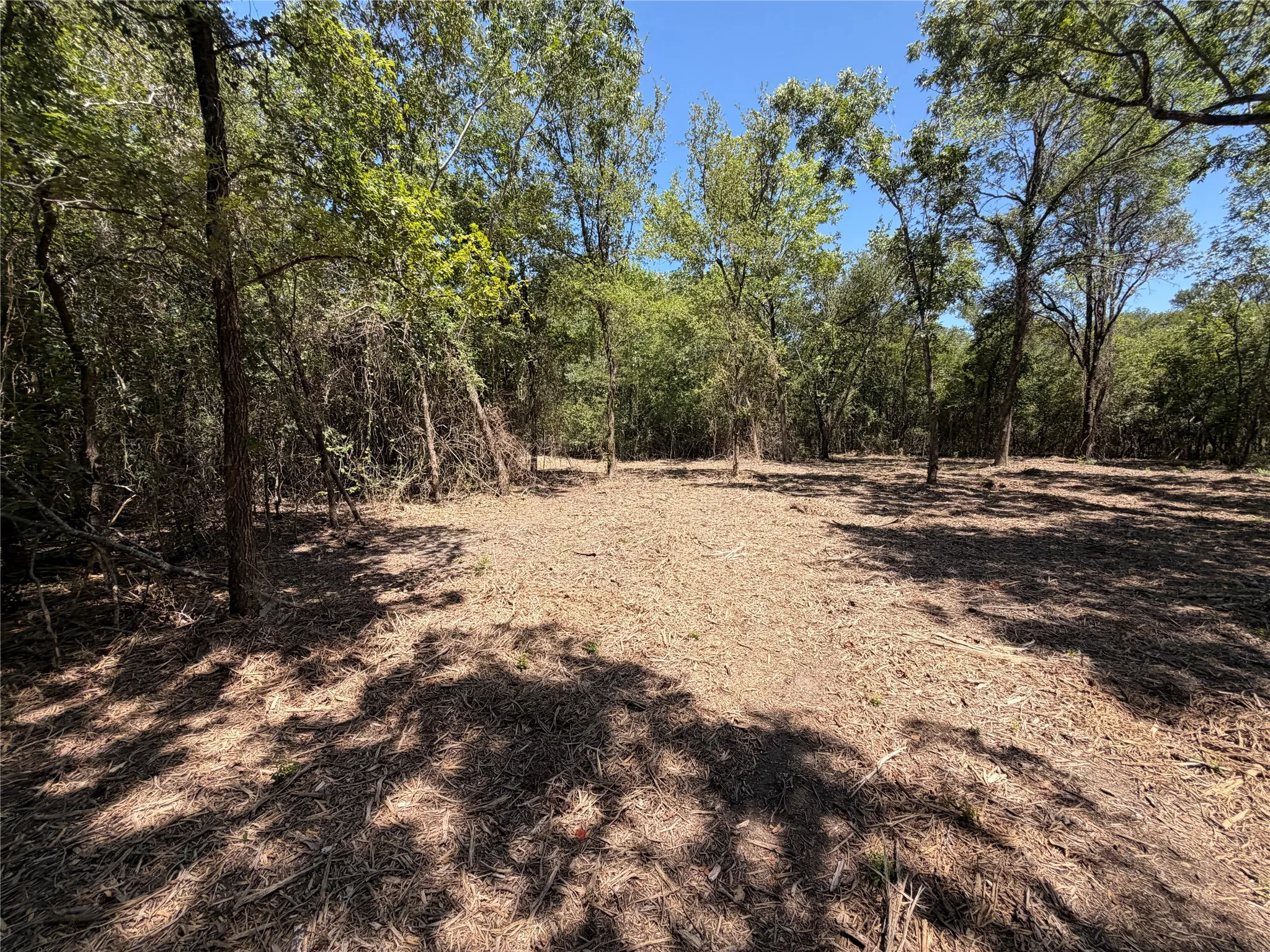 Unimproved Land For Sale in Navarro County , TBD39ac SW Co Rd 2340, Richland, Texas 76681, 0, 0, Garage spaces, 0 Sqft, built in 0, mls#21347727, Real Estate Agent in Richland, Homes For Sale in Navarro county, Homes For Sale in Richland, Realtor in Richland Texas, Real Estate Brokerage Independent Realty Texas, Luminita Cordes Realtor