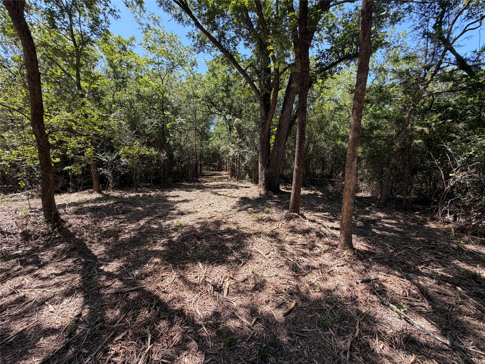 Unimproved Land For Sale in Navarro County , TBD39ac SW Co Rd 2340, Richland, Texas 76681, 0, 0, Garage spaces, 0 Sqft, built in 0, mls#21347727, Real Estate Agent in Richland, Homes For Sale in Navarro county, Homes For Sale in Richland, Realtor in Richland Texas, Real Estate Brokerage Independent Realty Texas, Luminita Cordes Realtor