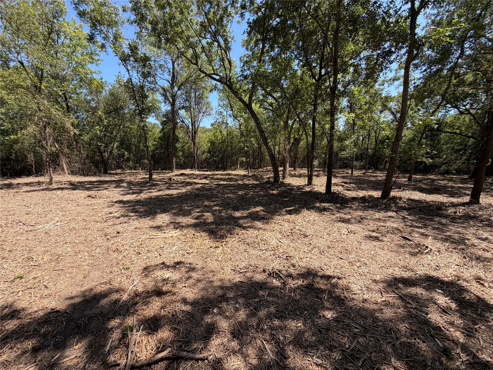 Unimproved Land For Sale in Navarro County , TBD39ac SW Co Rd 2340, Richland, Texas 76681, 0, 0, Garage spaces, 0 Sqft, built in 0, mls#21347727, Real Estate Agent in Richland, Homes For Sale in Navarro county, Homes For Sale in Richland, Realtor in Richland Texas, Real Estate Brokerage Independent Realty Texas, Luminita Cordes Realtor
