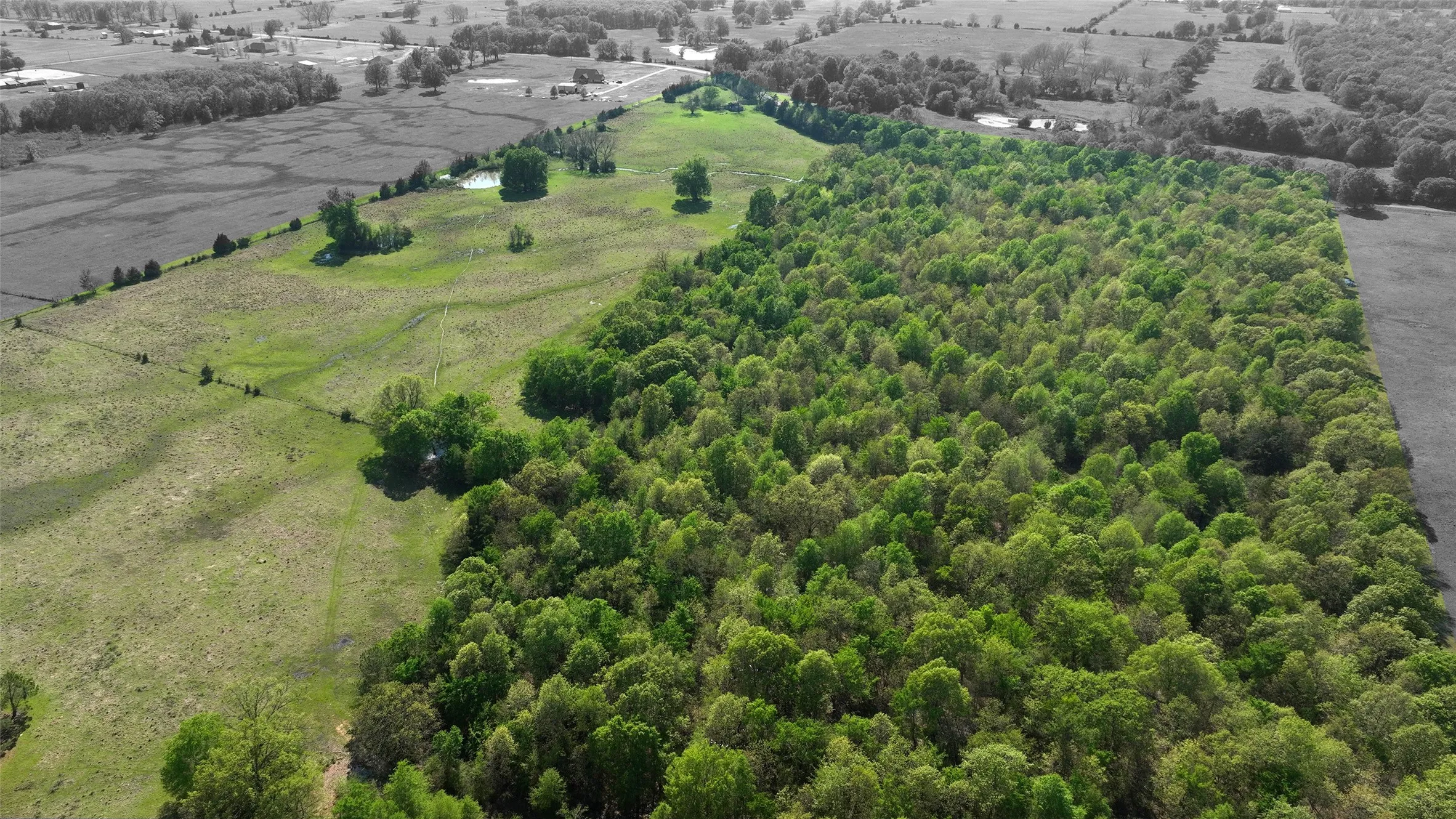 Wooded acreage