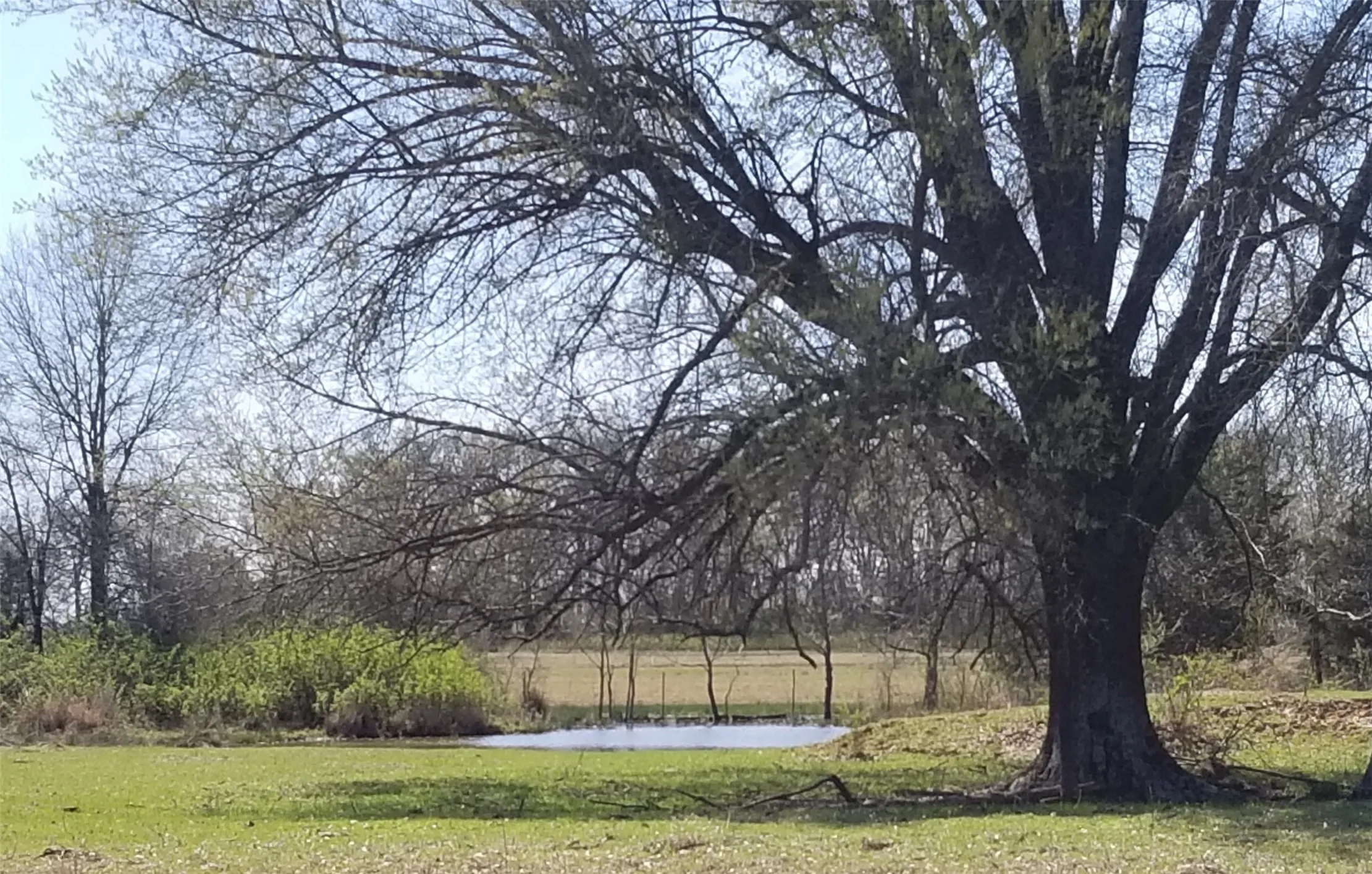 Unimproved Land For Sale in Lamar County , TBD 0000 Farm Road 1502, Detroit, Texas 75436, 0, 0, Garage spaces, 0 Sqft, built in 0, Price $525,000, mls#21348902, Real Estate Agent in Detroit, Homes For Sale in Lamar county, Homes For Sale in Detroit, Realtor in Detroit Texas, Real Estate Brokerage Independent Realty Texas, Luminita Cordes Realtor