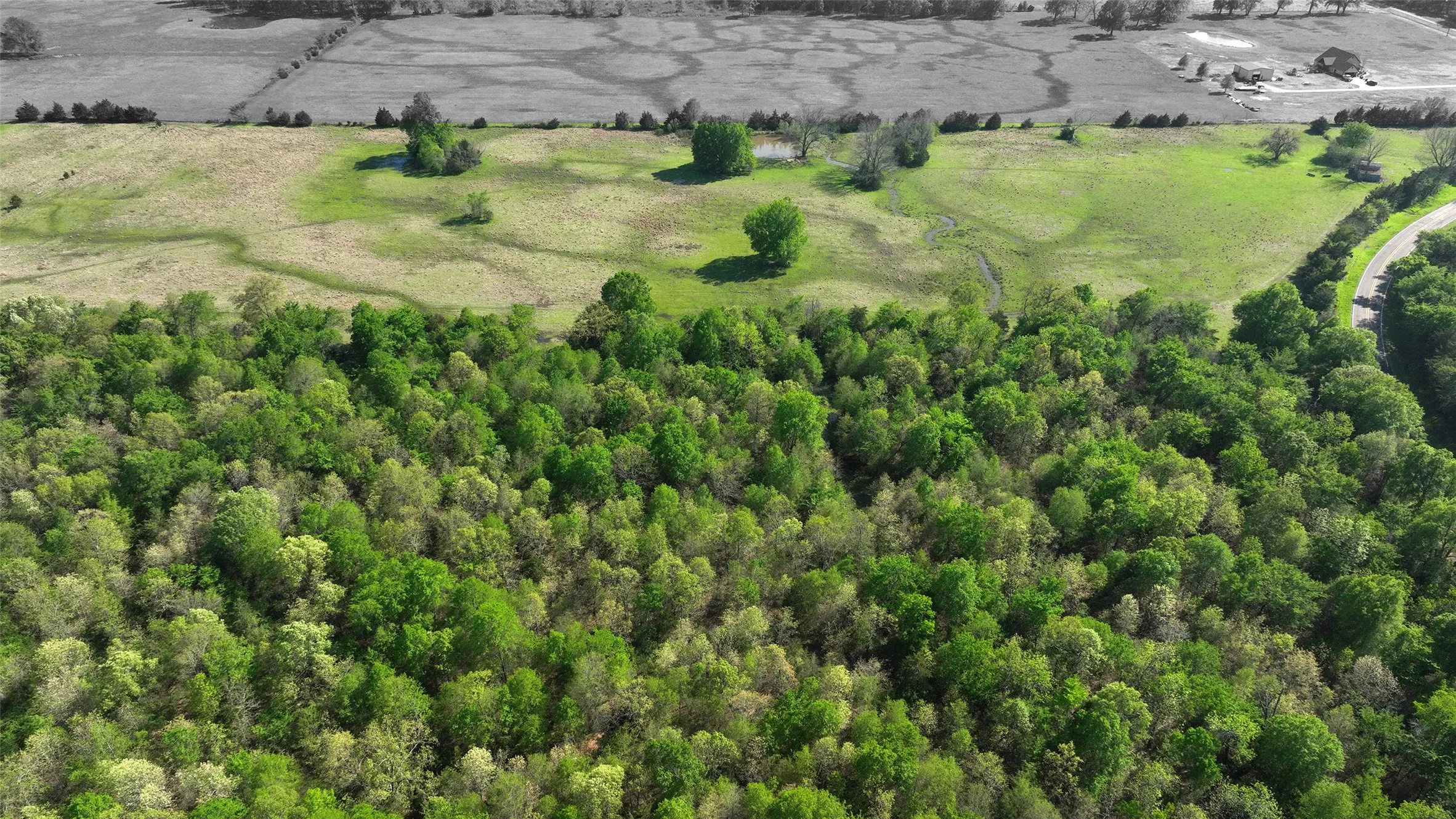 Unimproved Land For Sale in Lamar County , TBD 0000 Farm Road 1502, Detroit, Texas 75436, 0, 0, Garage spaces, 0 Sqft, built in 0, Price $525,000, mls#21348902, Real Estate Agent in Detroit, Homes For Sale in Lamar county, Homes For Sale in Detroit, Realtor in Detroit Texas, Real Estate Brokerage Independent Realty Texas, Luminita Cordes Realtor