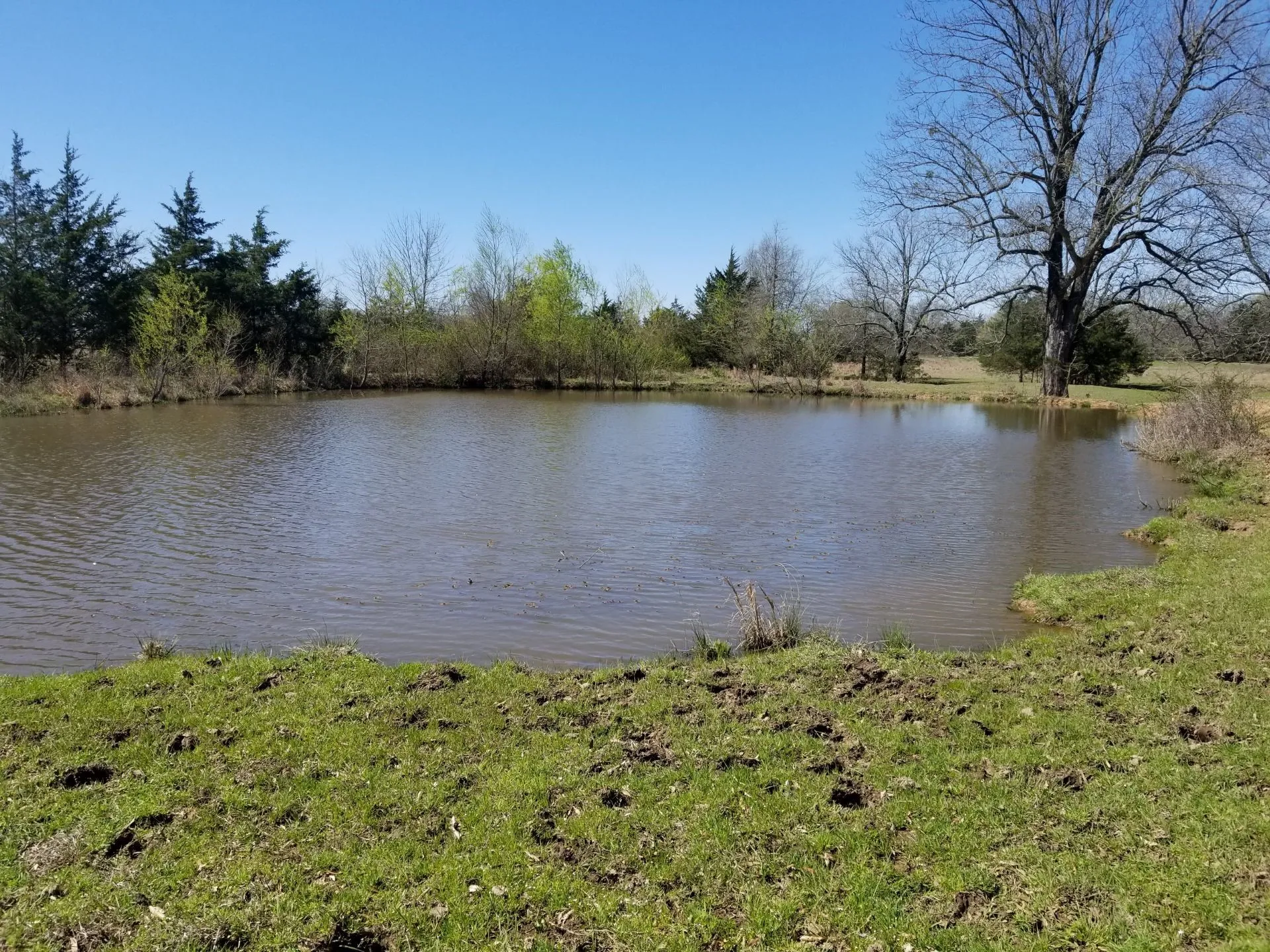 Pond