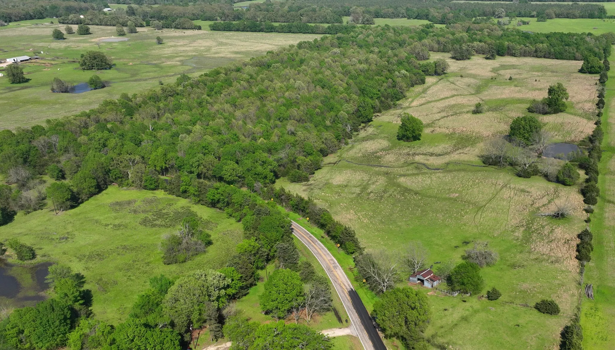 Unimproved Land For Sale in Lamar County , TBD 0000 Farm Road 1502, Detroit, Texas 75436, 0, 0, Garage spaces, 0 Sqft, built in 0, Price $525,000, mls#21348902, Real Estate Agent in Detroit, Homes For Sale in Lamar county, Homes For Sale in Detroit, Realtor in Detroit Texas, Real Estate Brokerage Independent Realty Texas, Luminita Cordes Realtor