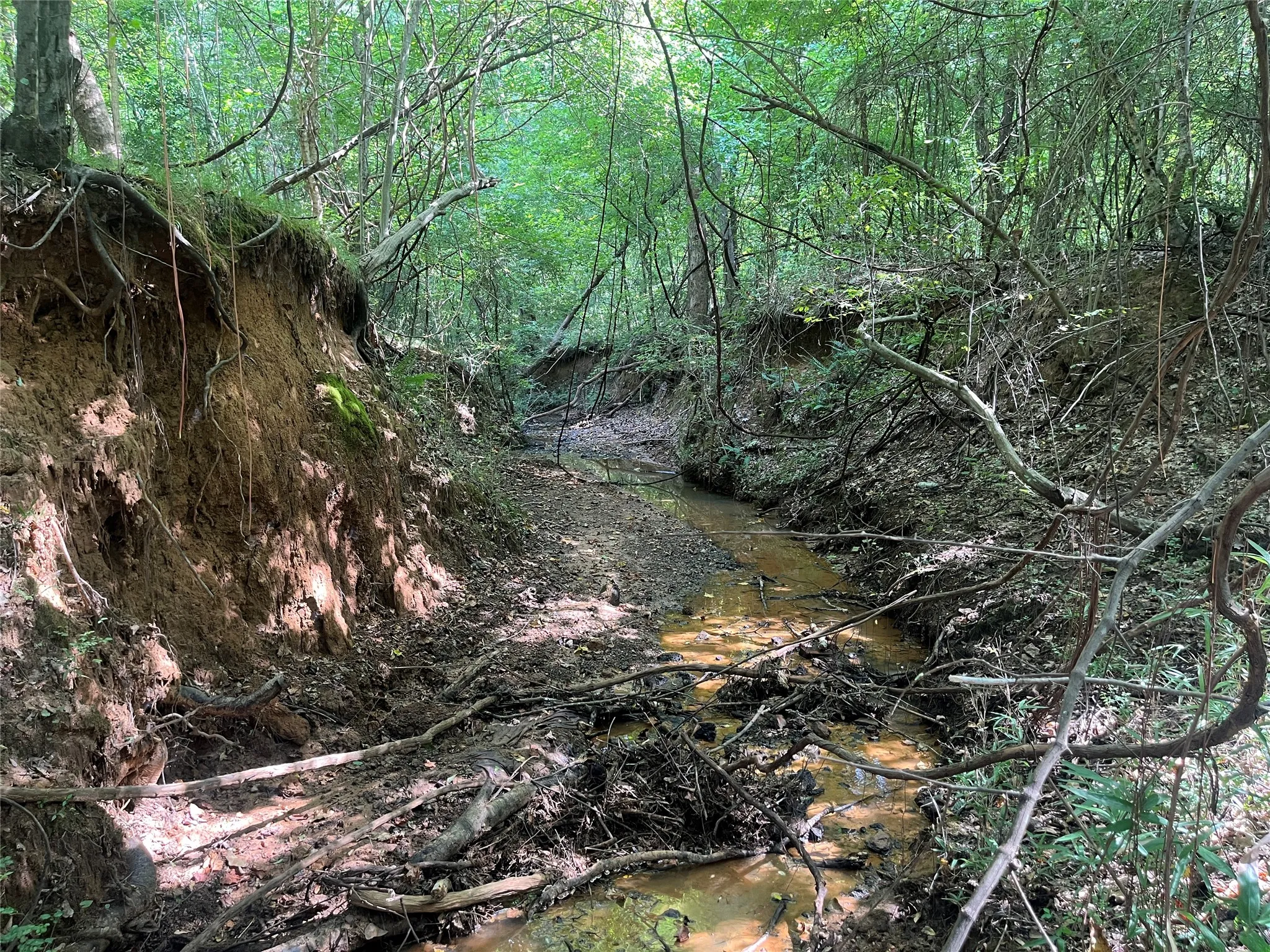 Unimproved Land For Sale in Cherokee County , TBD County Road 3303, Jacksonville, Texas 75766, 0, 0, Garage spaces, 0 Sqft, built in 0, mls#21348866, Real Estate Agent in Jacksonville, Homes For Sale in Cherokee county, Homes For Sale in Jacksonville, Realtor in Jacksonville Texas, Real Estate Brokerage Independent Realty Texas, Luminita Cordes Realtor