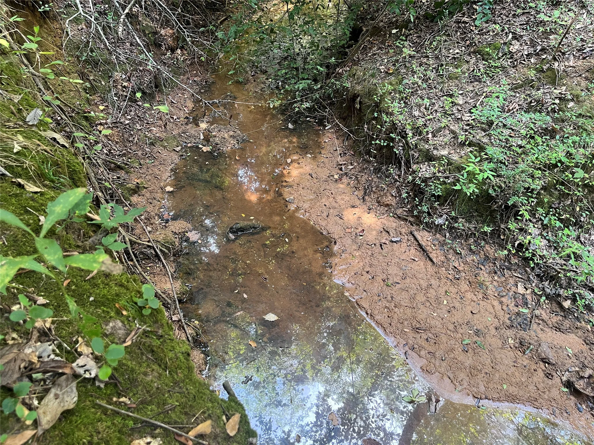 Unimproved Land For Sale in Cherokee County , TBD County Road 3303, Jacksonville, Texas 75766, 0, 0, Garage spaces, 0 Sqft, built in 0, mls#21348866, Real Estate Agent in Jacksonville, Homes For Sale in Cherokee county, Homes For Sale in Jacksonville, Realtor in Jacksonville Texas, Real Estate Brokerage Independent Realty Texas, Luminita Cordes Realtor
