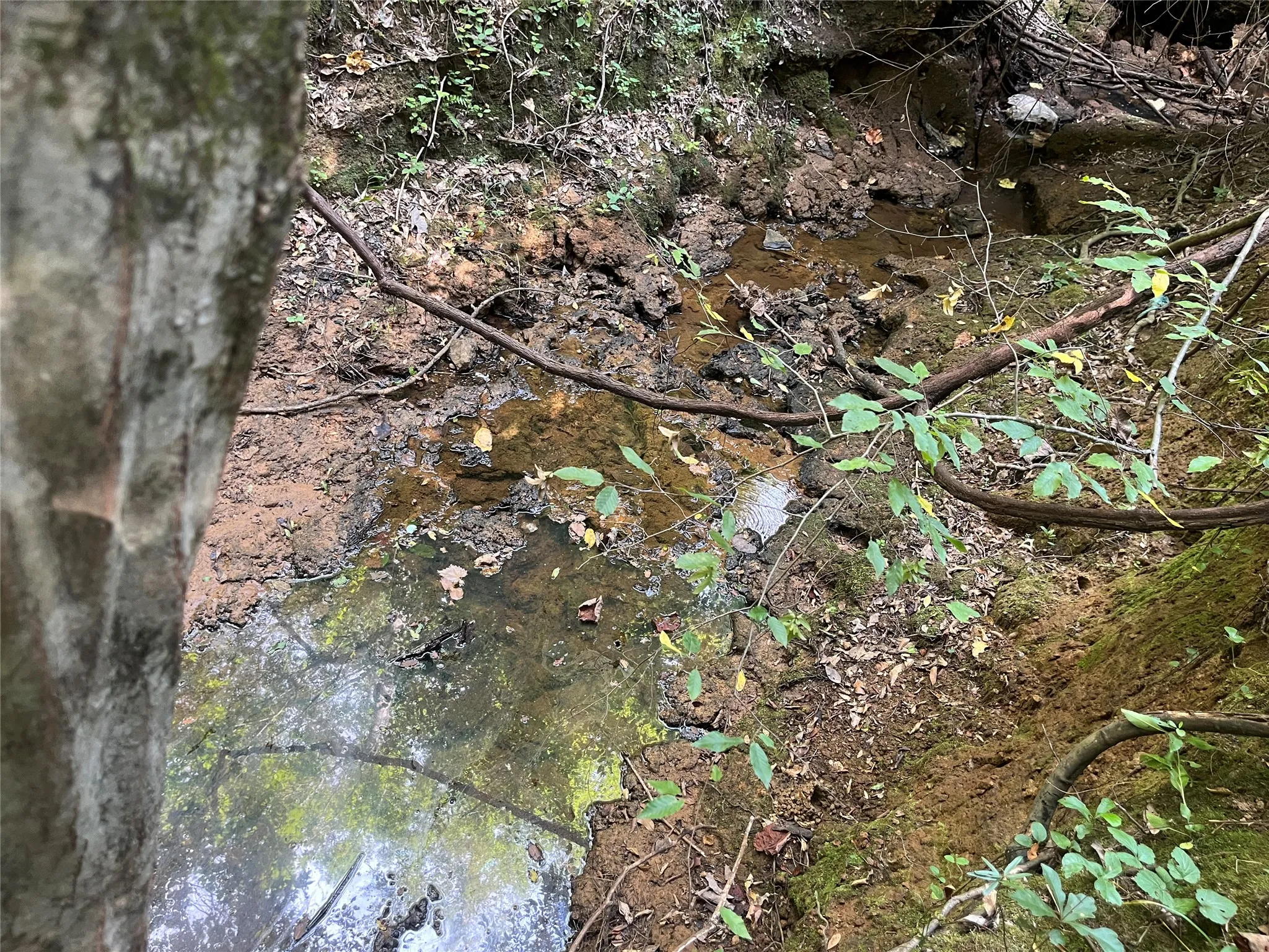 Unimproved Land For Sale in Cherokee County , TBD County Road 3303, Jacksonville, Texas 75766, 0, 0, Garage spaces, 0 Sqft, built in 0, mls#21348866, Real Estate Agent in Jacksonville, Homes For Sale in Cherokee county, Homes For Sale in Jacksonville, Realtor in Jacksonville Texas, Real Estate Brokerage Independent Realty Texas, Luminita Cordes Realtor